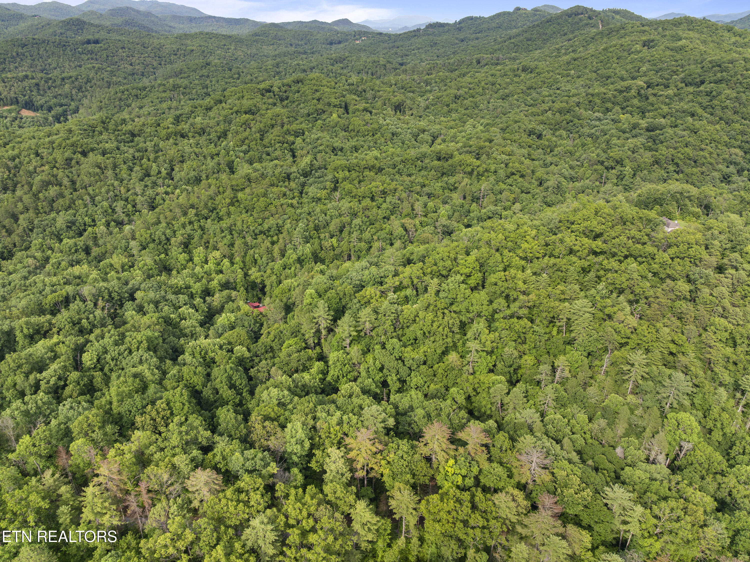 Tbd Grouse Top (LOT 3) Road Walland TN 37886