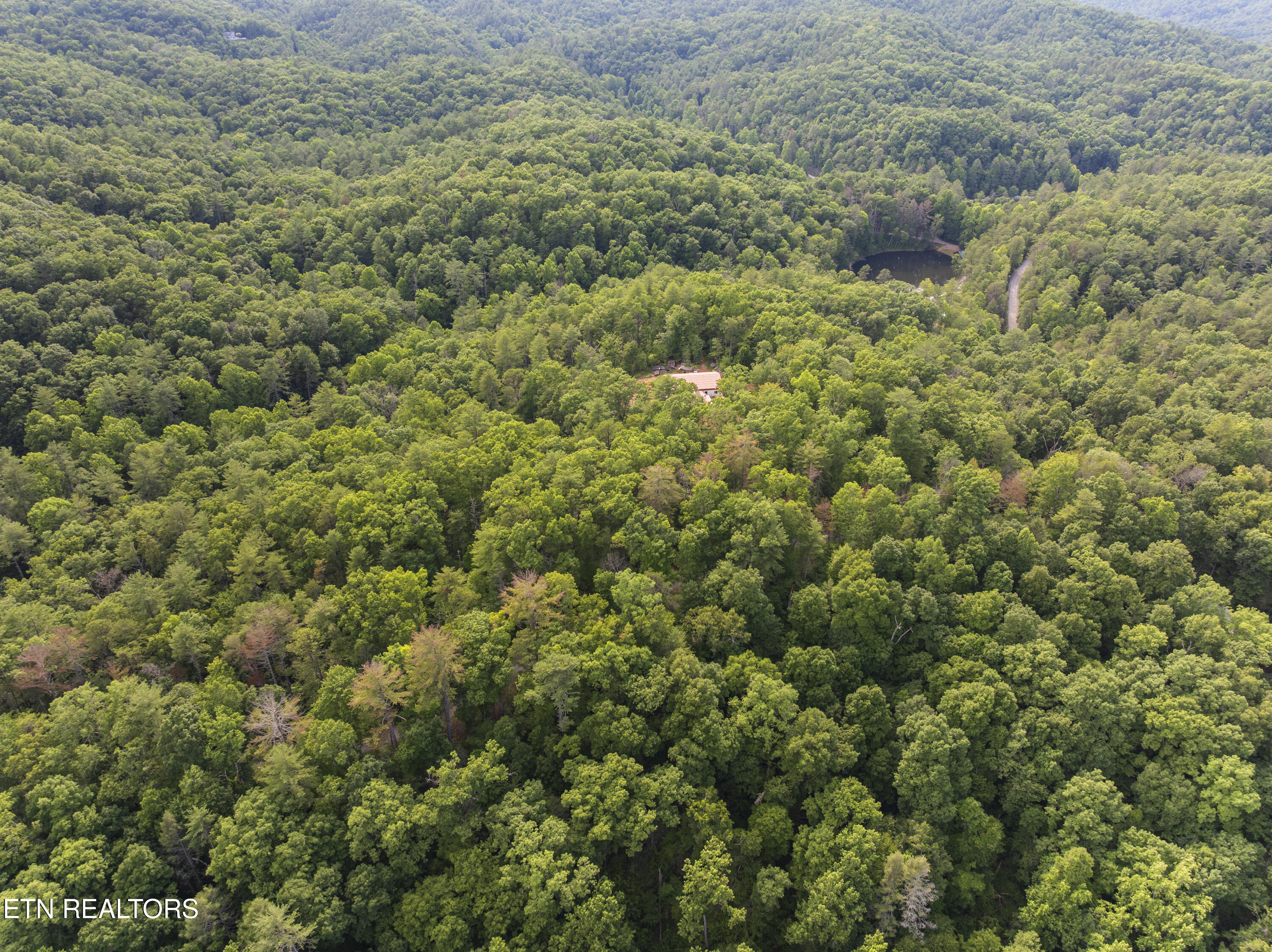 Tbd Grouse Top (LOT 3) Road Walland TN 37886