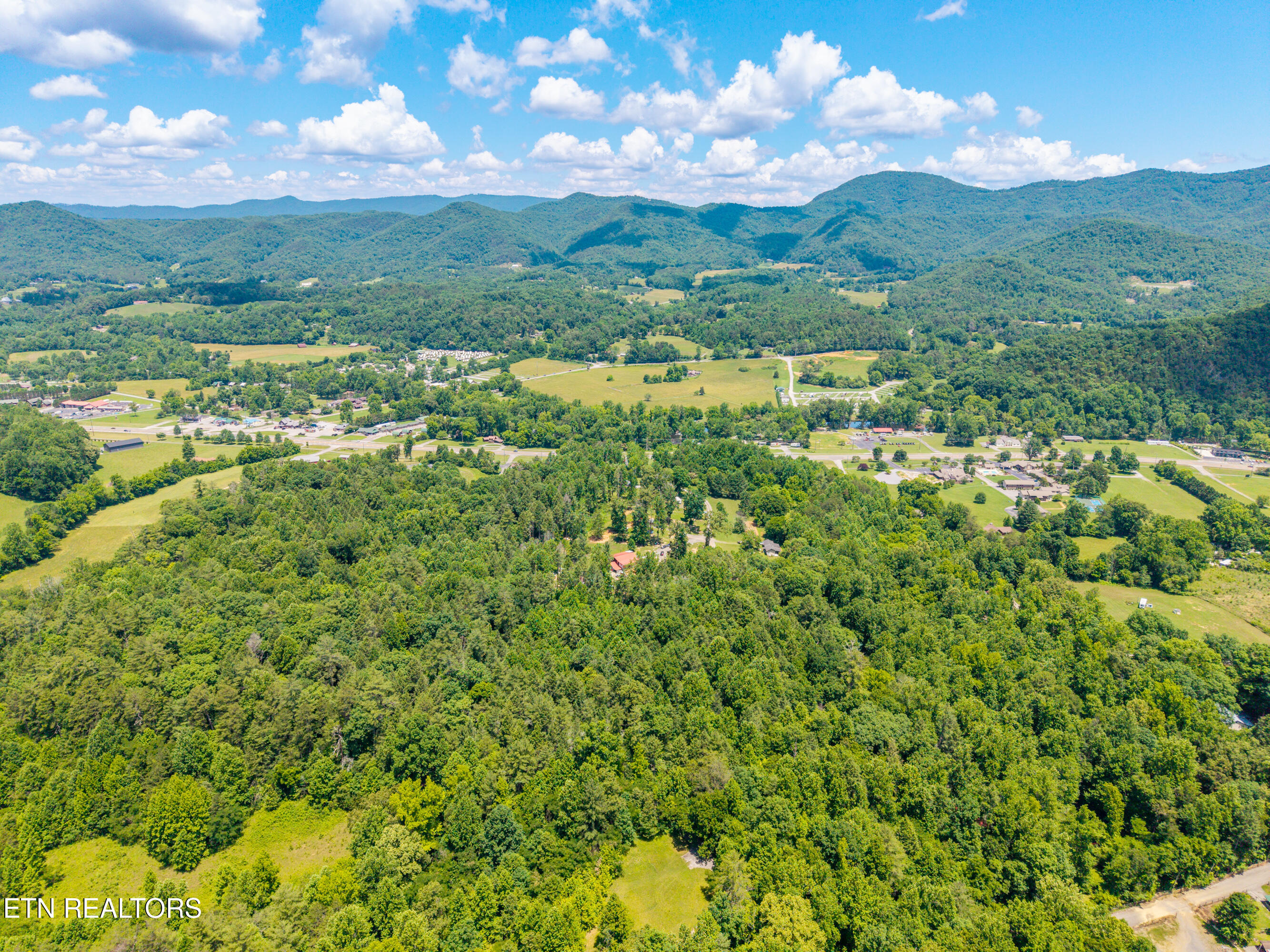 8246 Tennessee Highway 73 Townsend TN 37882