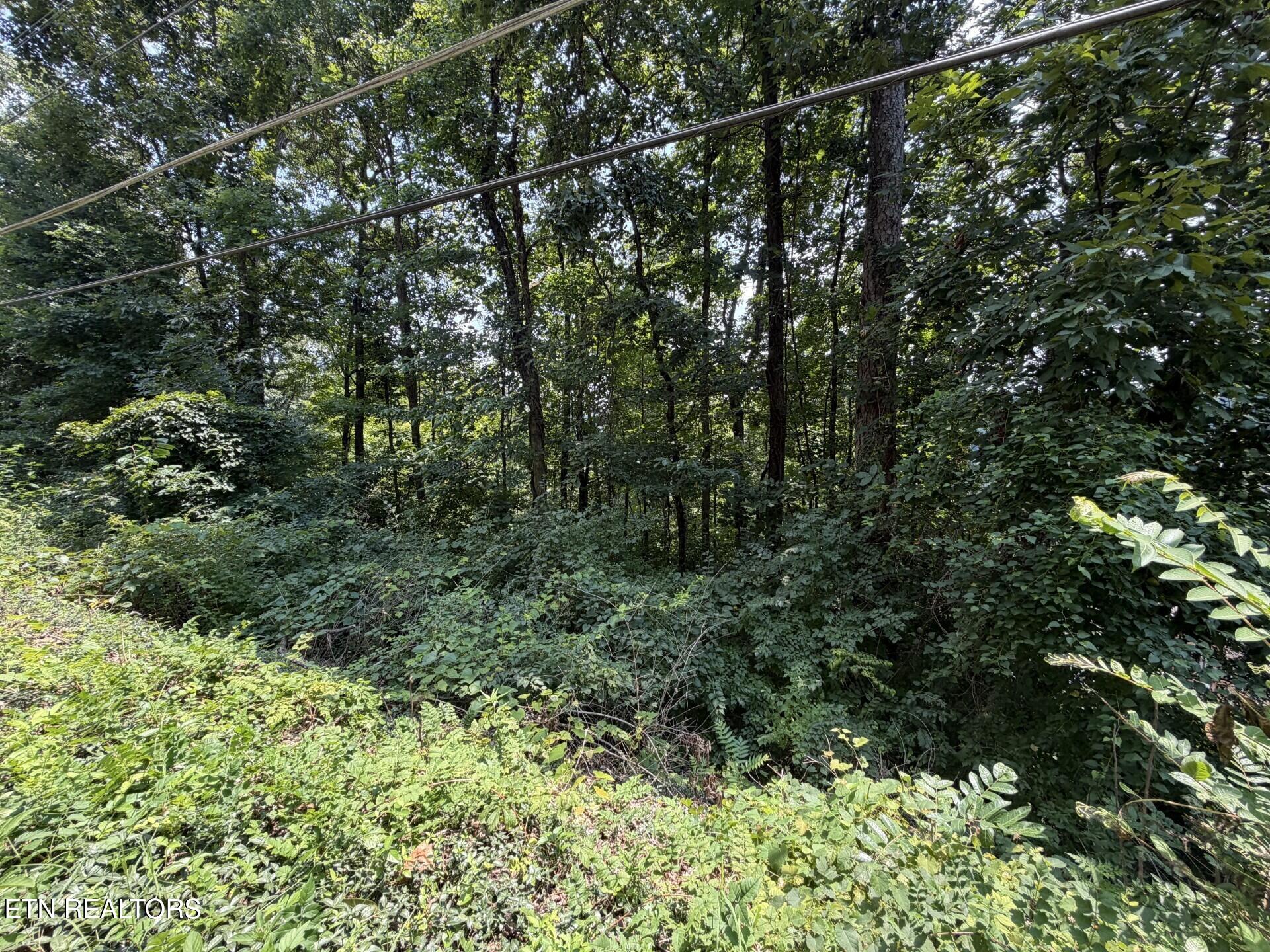 4636 Westover Terrace Knoxville TN 37914