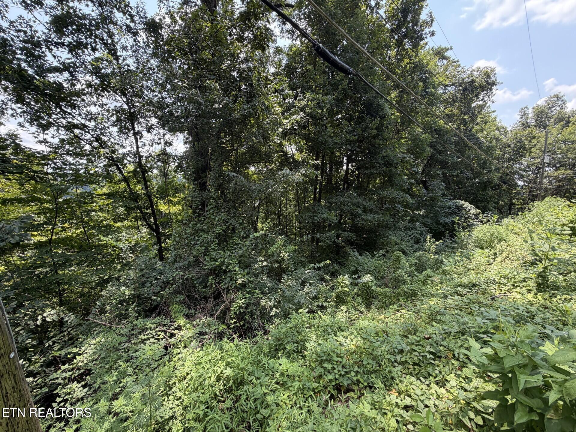 4636 Westover Terrace Knoxville TN 37914