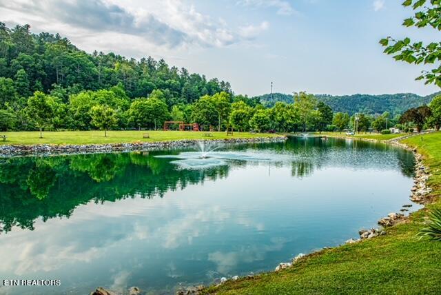 Lot 159 Flamingo Circle Townsend TN 37882