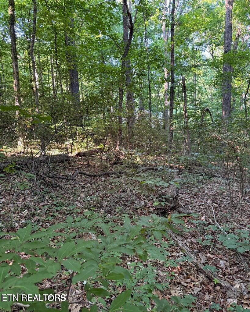 0 Ridgemont Drive Knoxville TN 37918