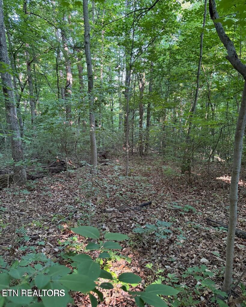 0 Ridgemont Drive Knoxville TN 37918