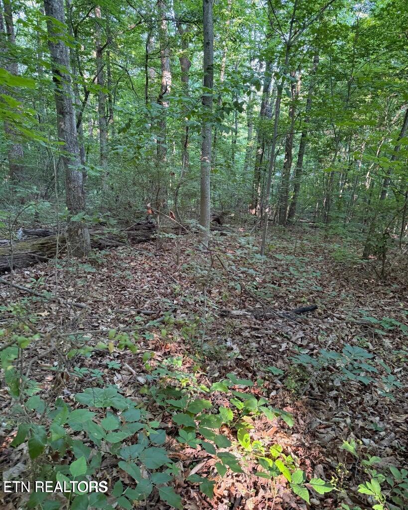 0 Ridgemont Drive Knoxville TN 37918