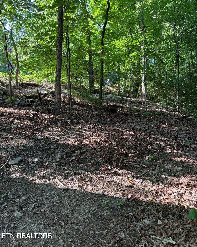 0 Ridgemont Drive Knoxville TN 37918