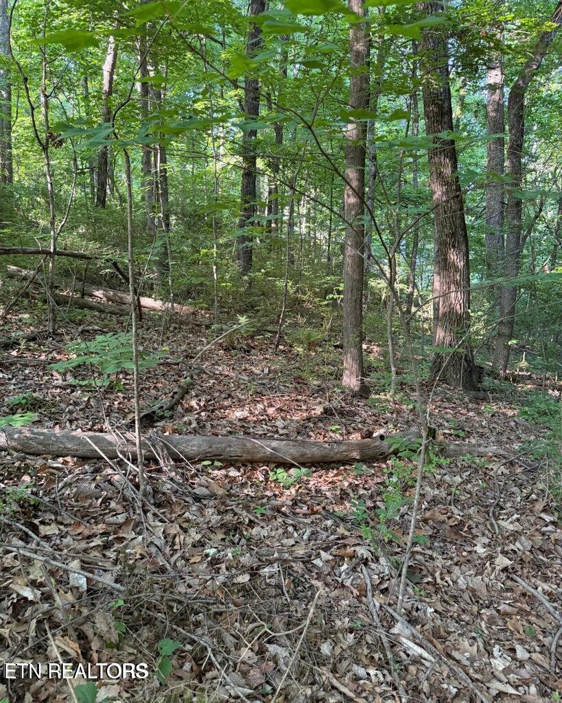 0 Ridgemont Drive Knoxville TN 37918