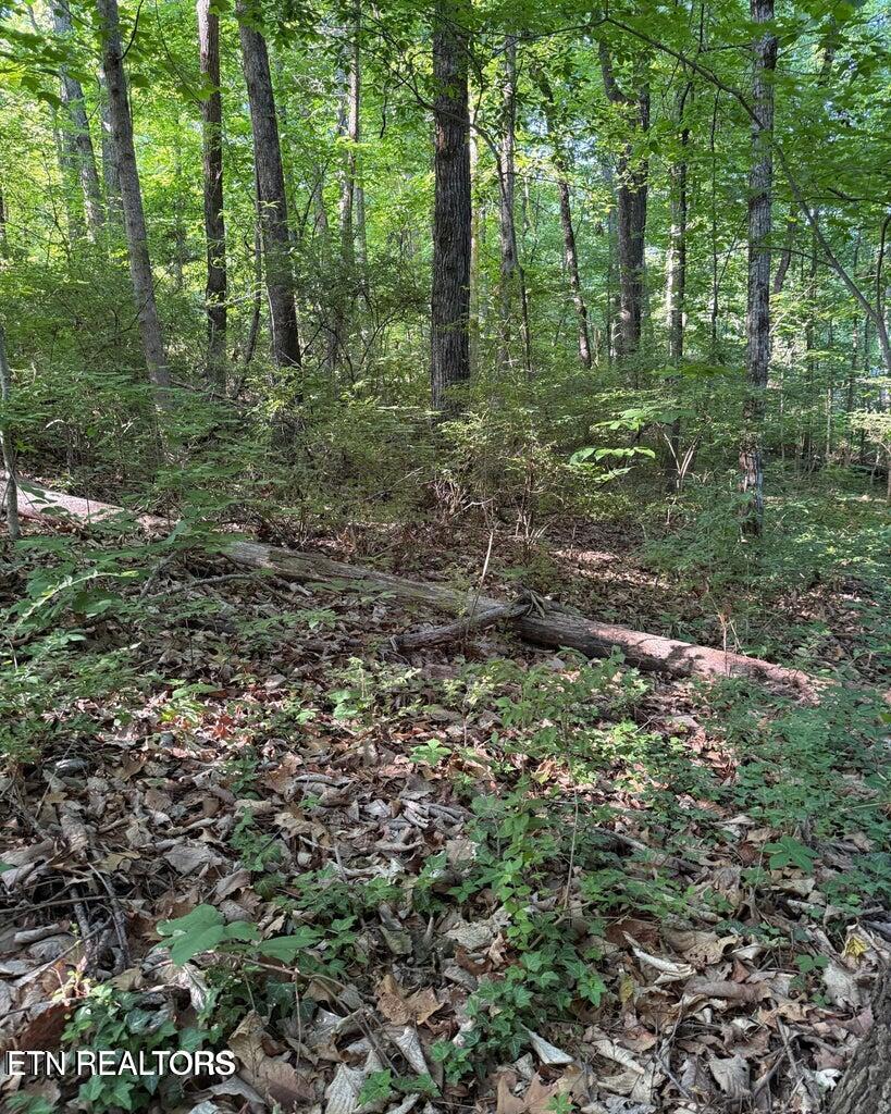 0 Ridgemont Drive Knoxville TN 37918