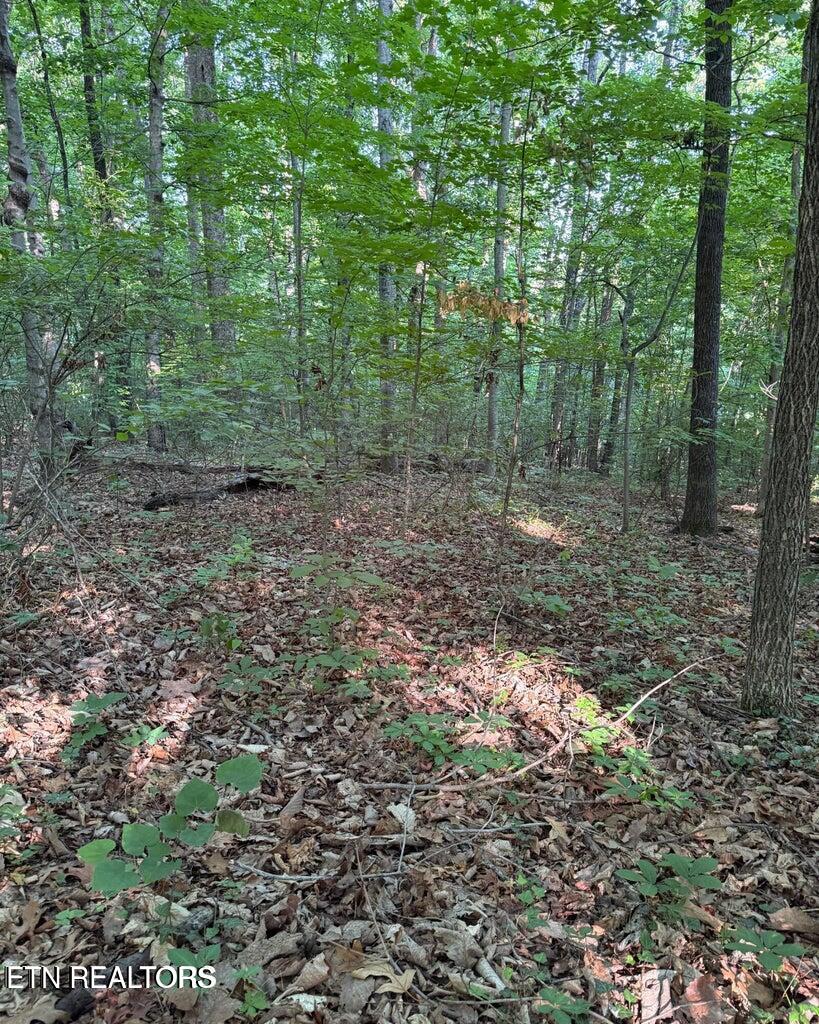 0 Ridgemont Drive Knoxville TN 37918