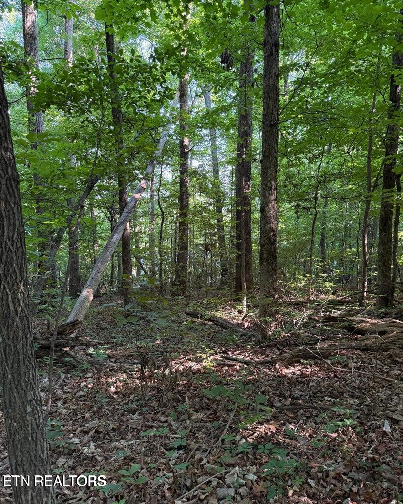 0 Ridgemont Drive Knoxville TN 37918
