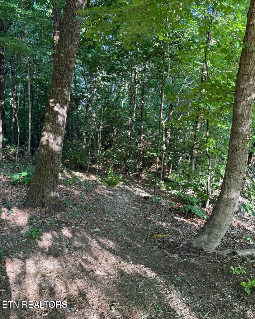 0 Ridgemont Drive Knoxville TN 37918