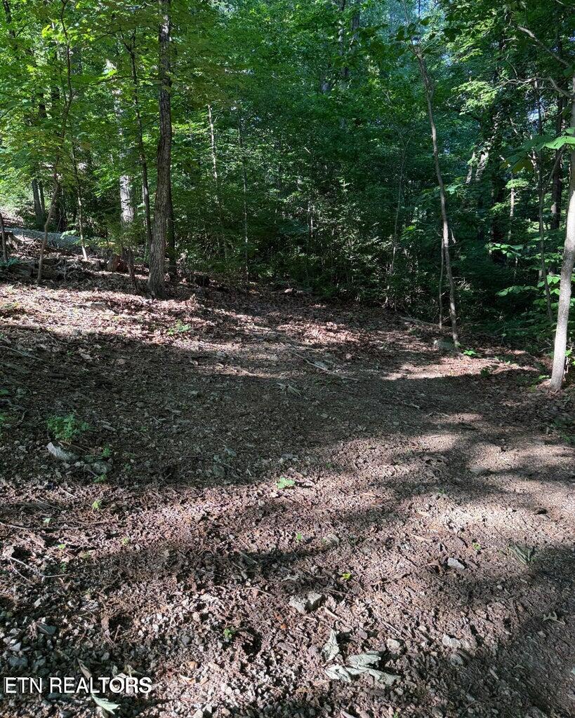 0 Ridgemont Drive Knoxville TN 37918