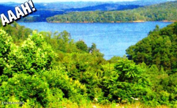 Lot 406 Flint Ridge Road Rockwood TN 37854