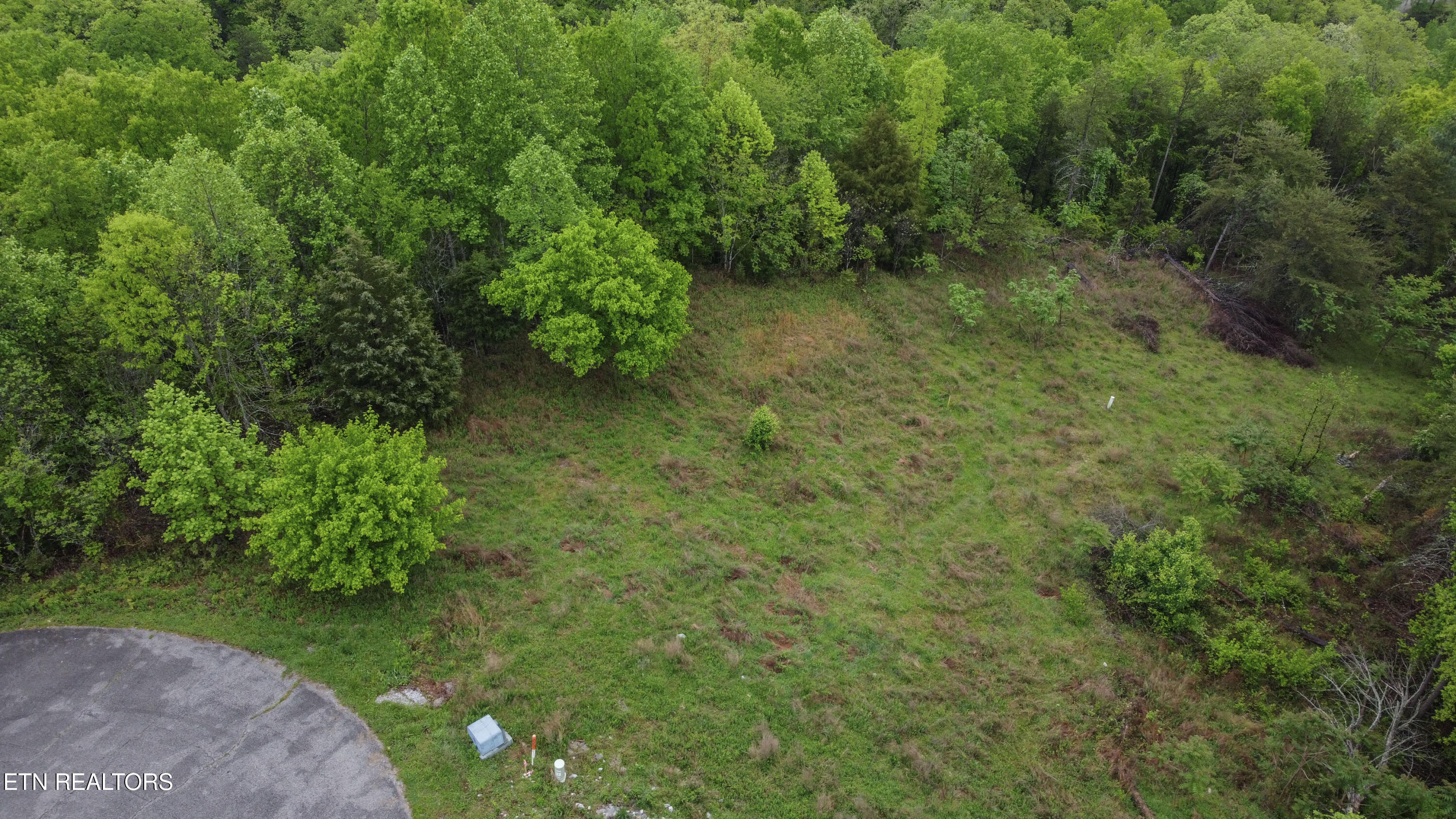 Lot 406 Flint Ridge Road Rockwood TN 37854