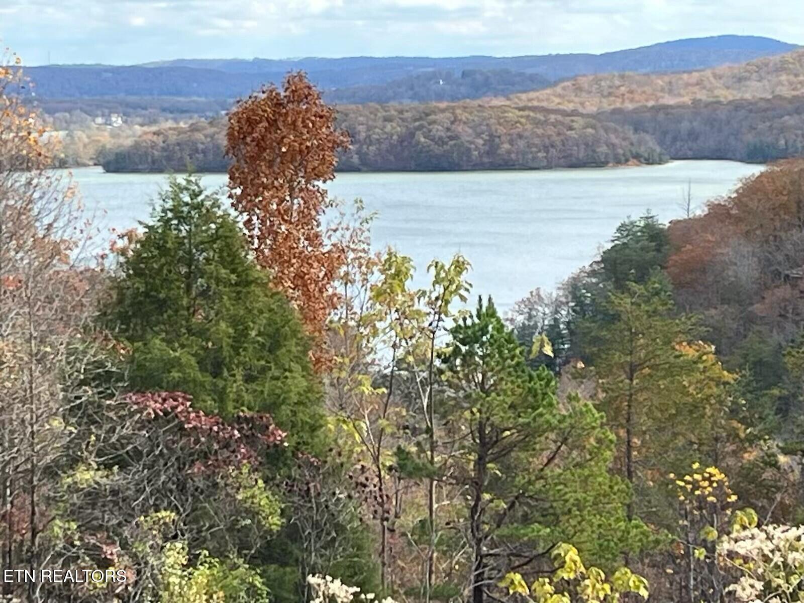 Lot 406 Flint Ridge Road Rockwood TN 37854