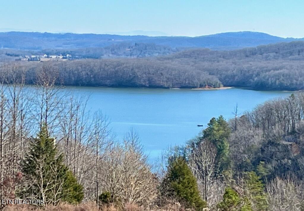 Lot 406 Flint Ridge Road Rockwood TN 37854