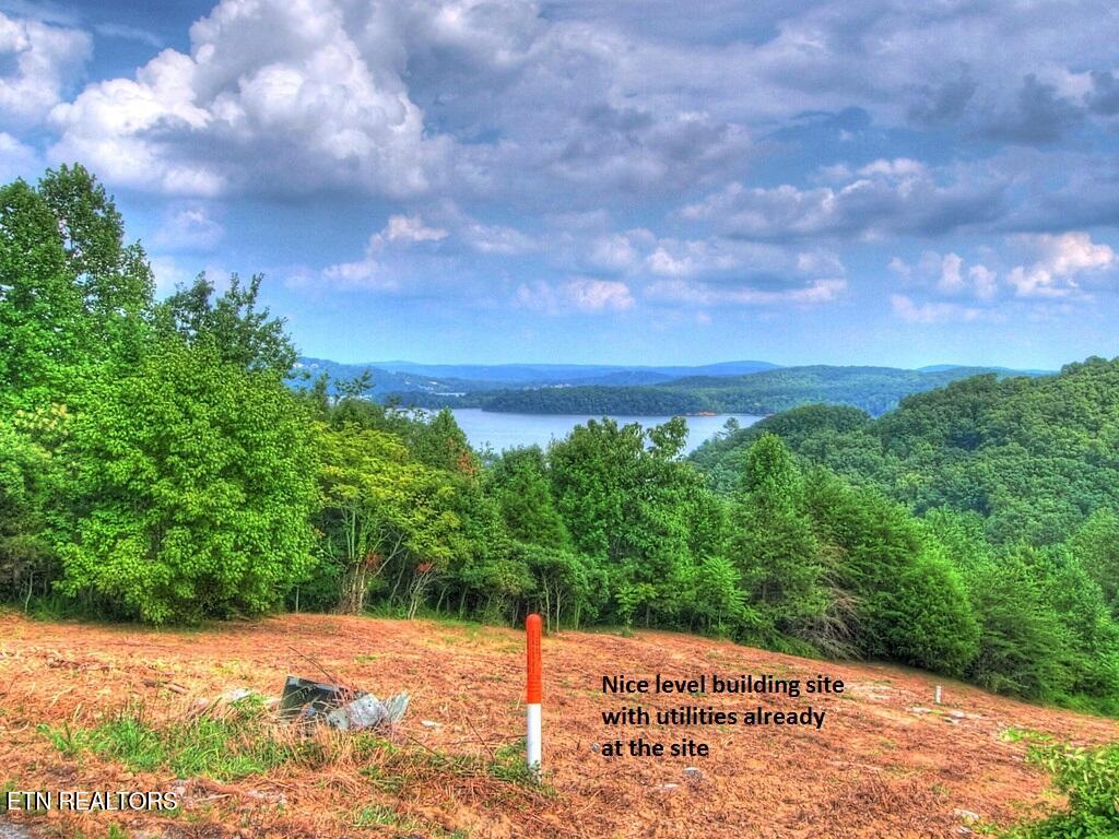 Lot 406 Flint Ridge Road Rockwood TN 37854