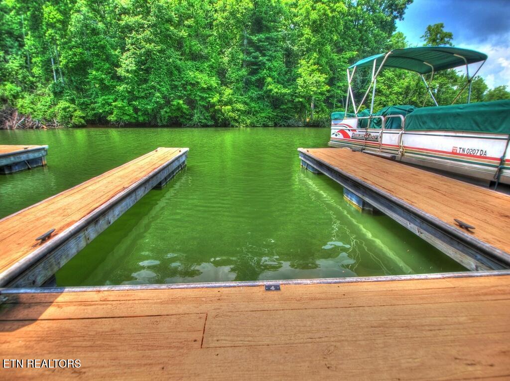 Lot 406 Flint Ridge Road Rockwood TN 37854