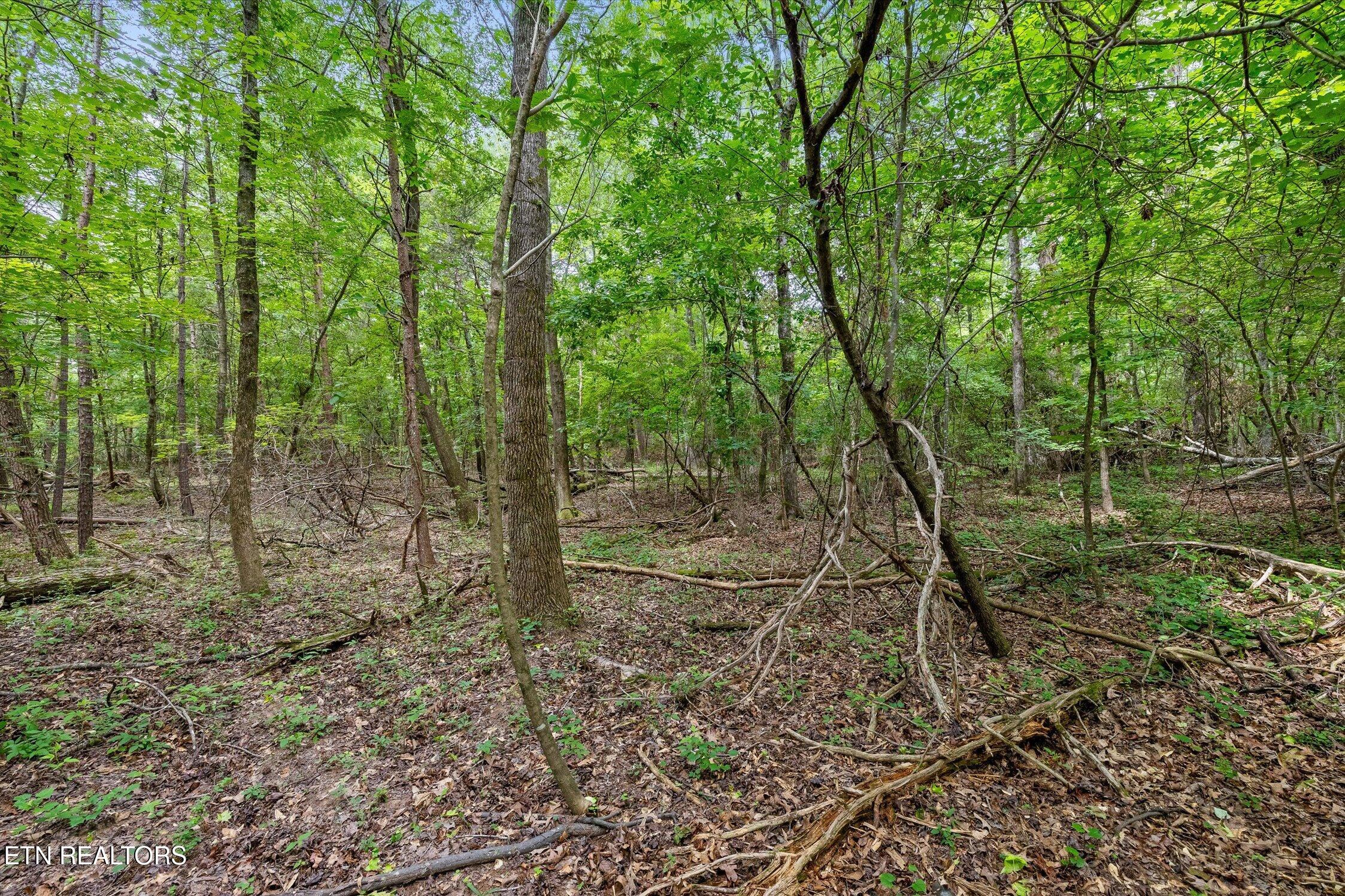 1906 Spradling Road Soddy-daisy TN 37379