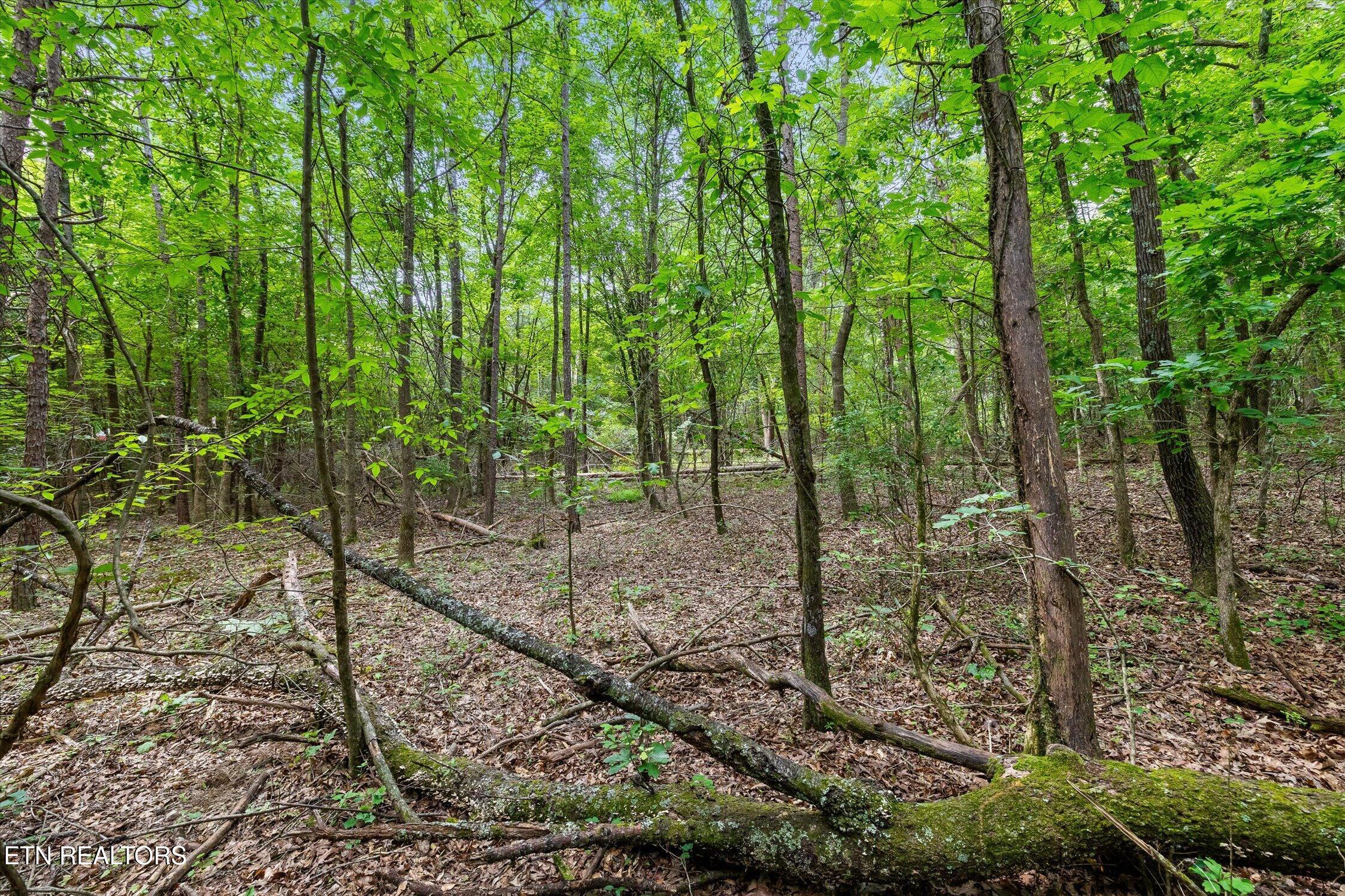 1906 Spradling Road Soddy-daisy TN 37379
