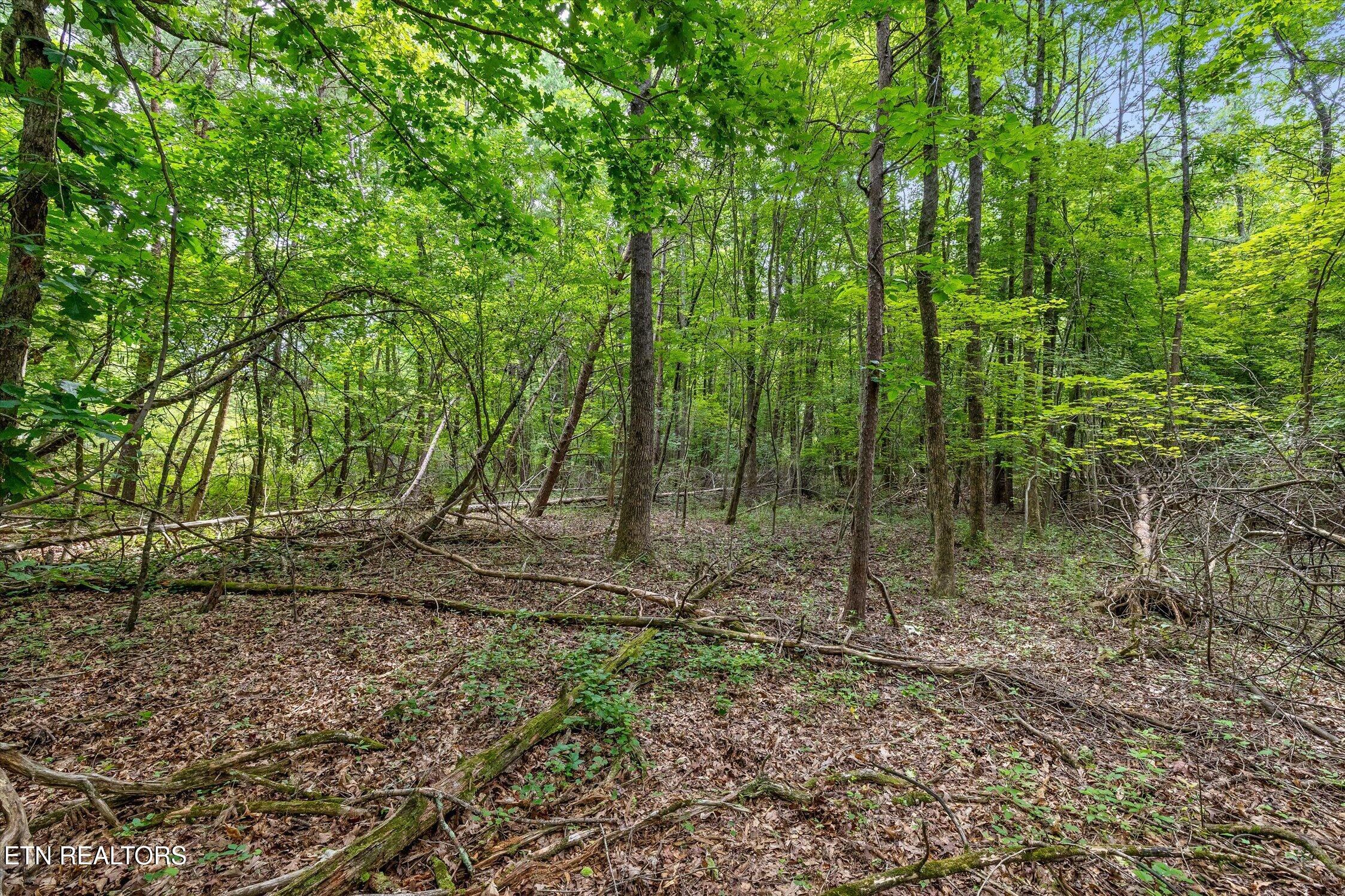 1906 Spradling Road Soddy-daisy TN 37379