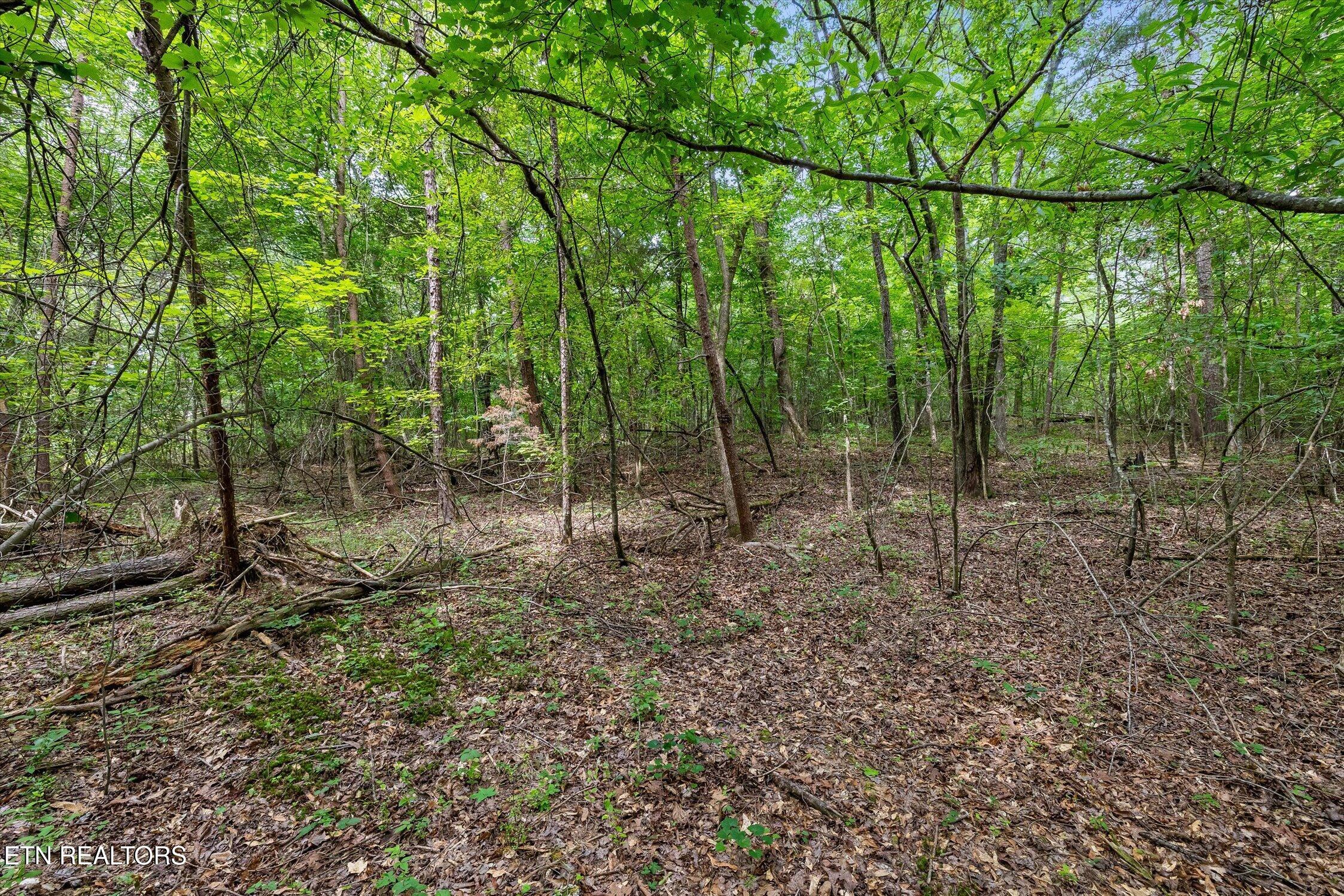 1906 Spradling Road Soddy-daisy TN 37379