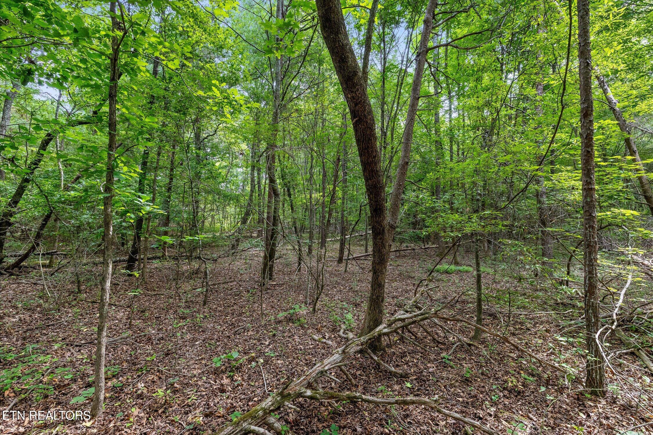 1906 Spradling Road Soddy-daisy TN 37379