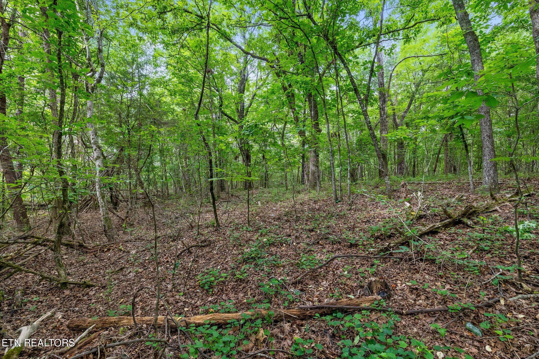 1906 Spradling Road Soddy-daisy TN 37379