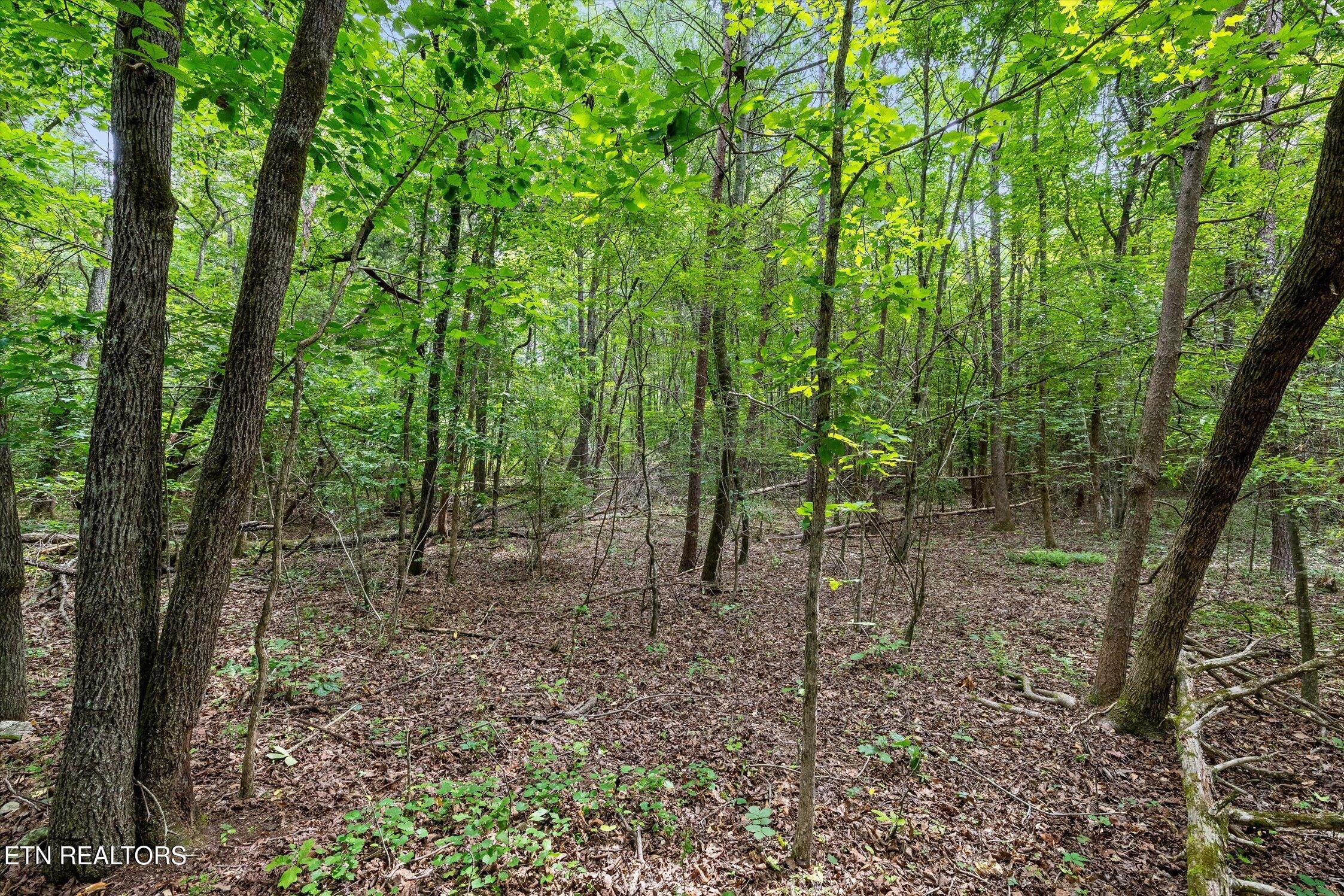 1906 Spradling Road Soddy-daisy TN 37379