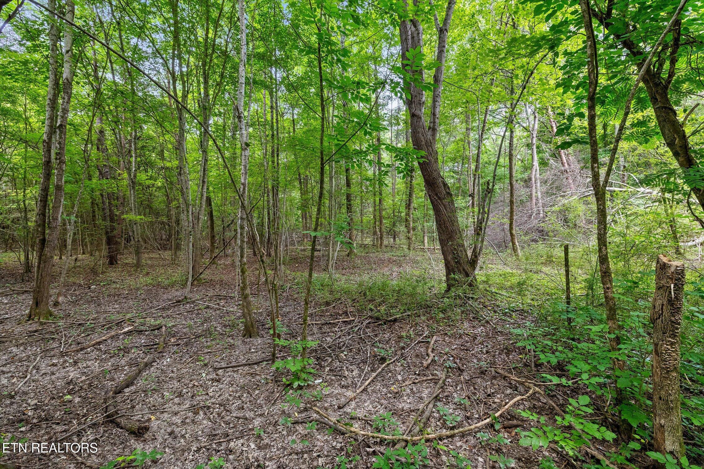 1906 Spradling Road Soddy-daisy TN 37379