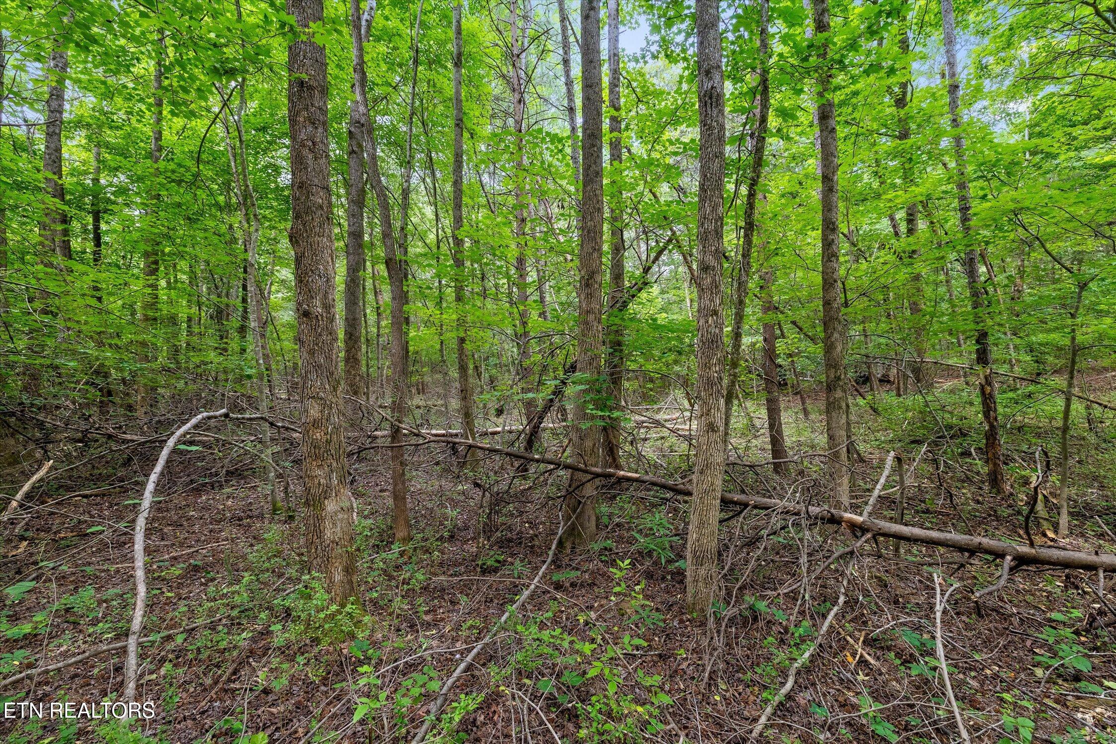 1906 Spradling Road Soddy-daisy TN 37379