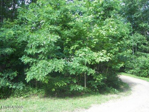 Lot 30 Butternut Lane Sevierville TN 37876