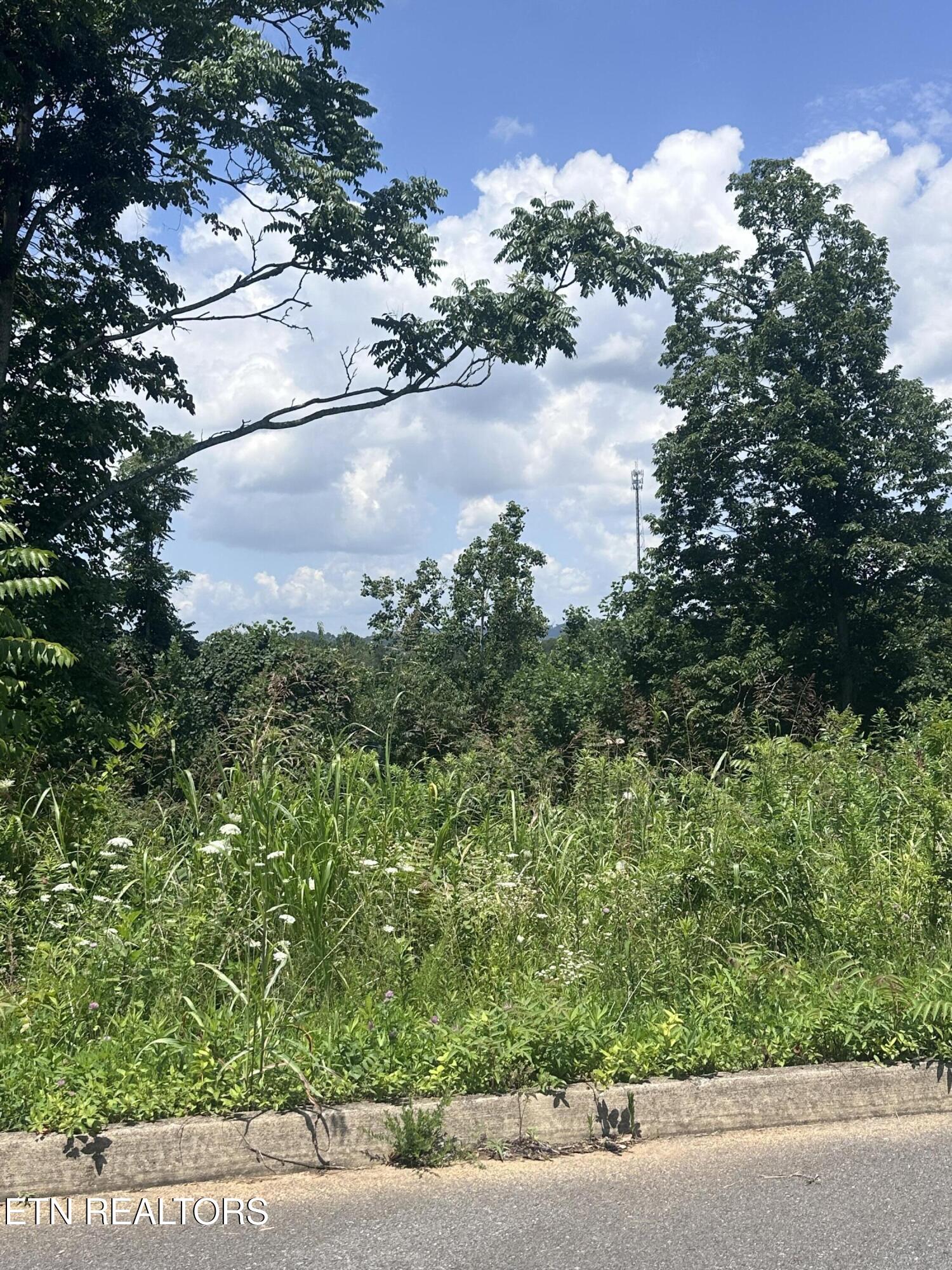 564 Low Valley Road Dandridge TN 37725