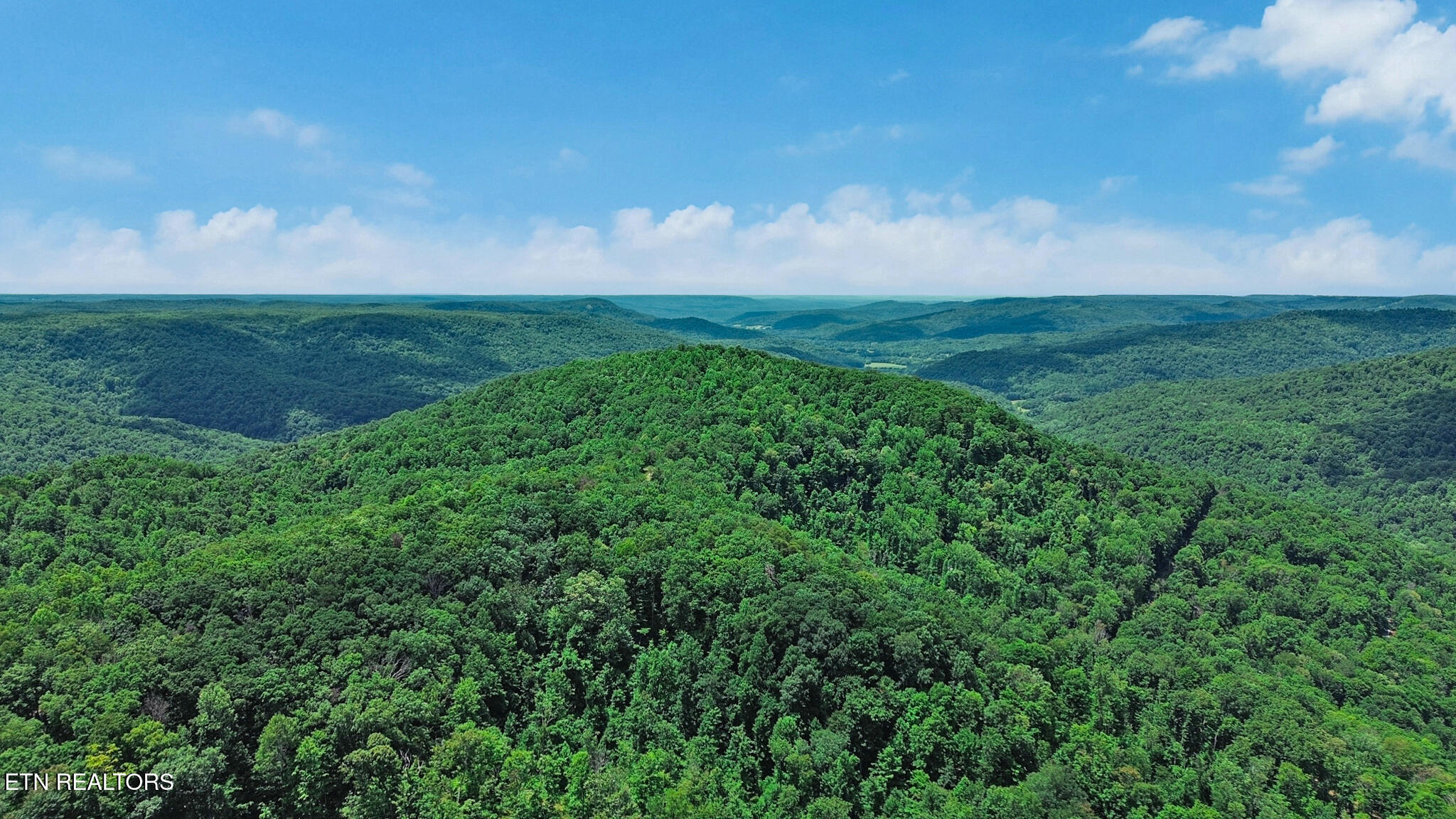 1323 Bee Rock Road Monterey TN 38574