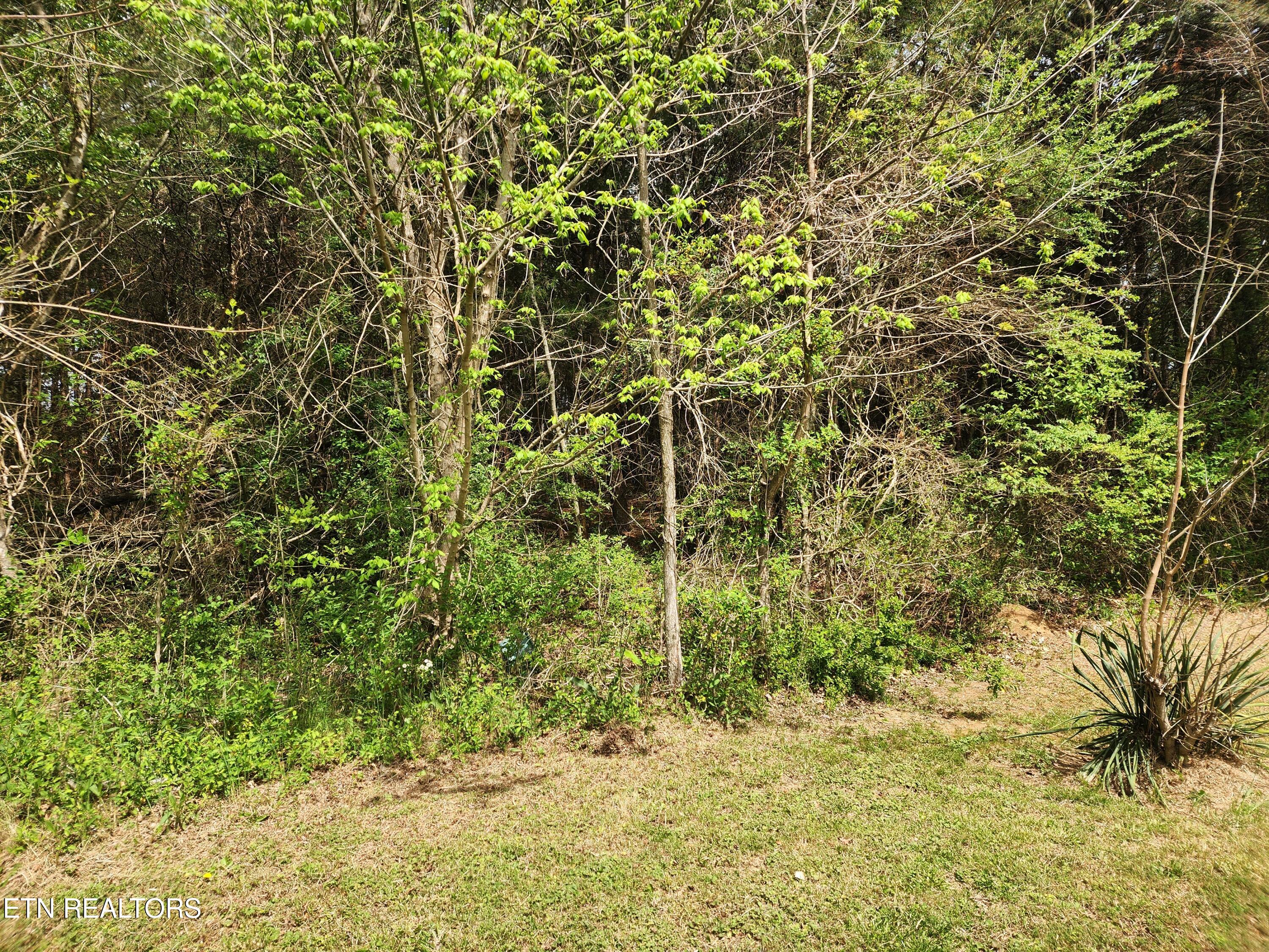 Maryville TN 37801