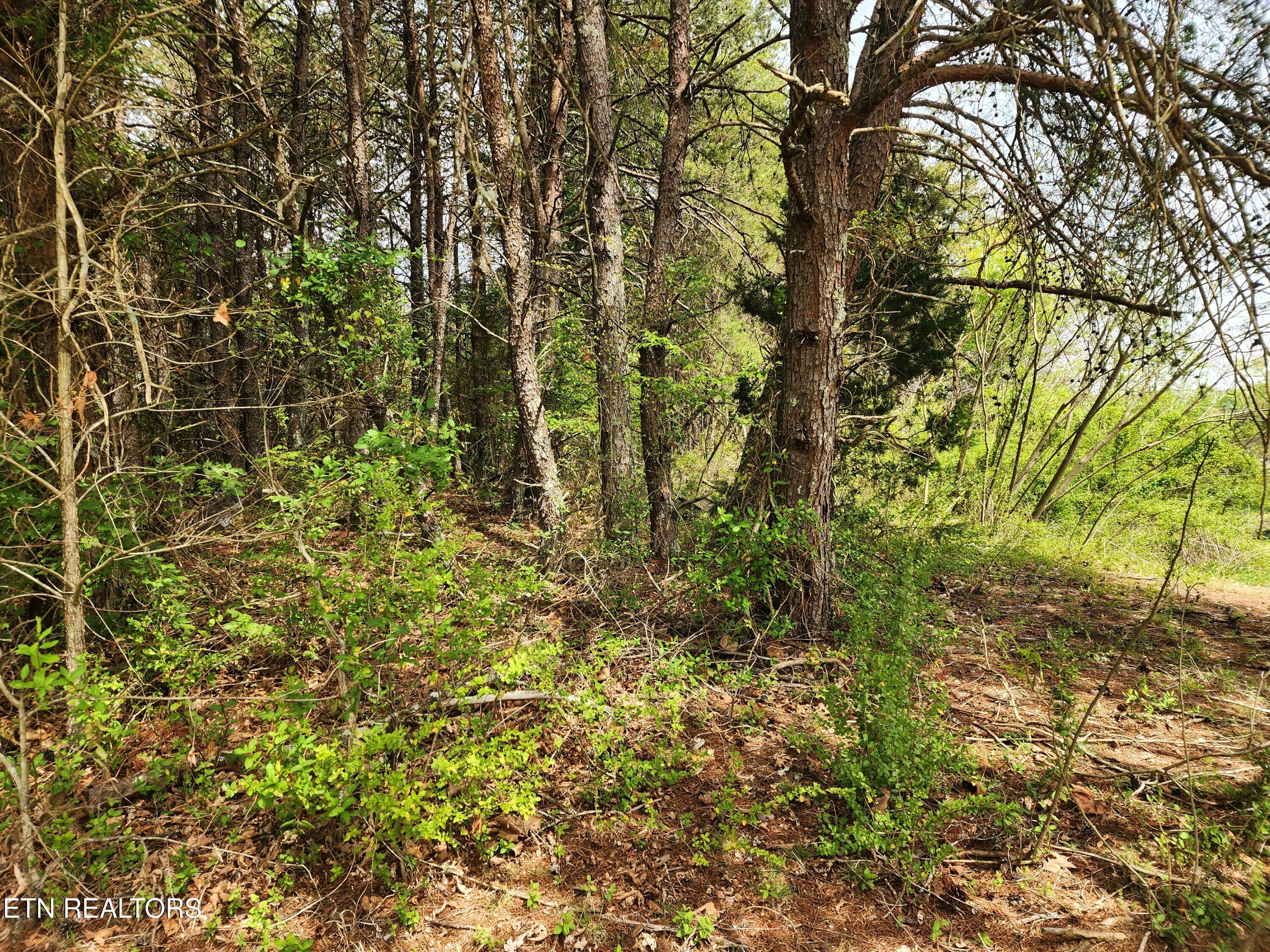 Maryville TN 37801