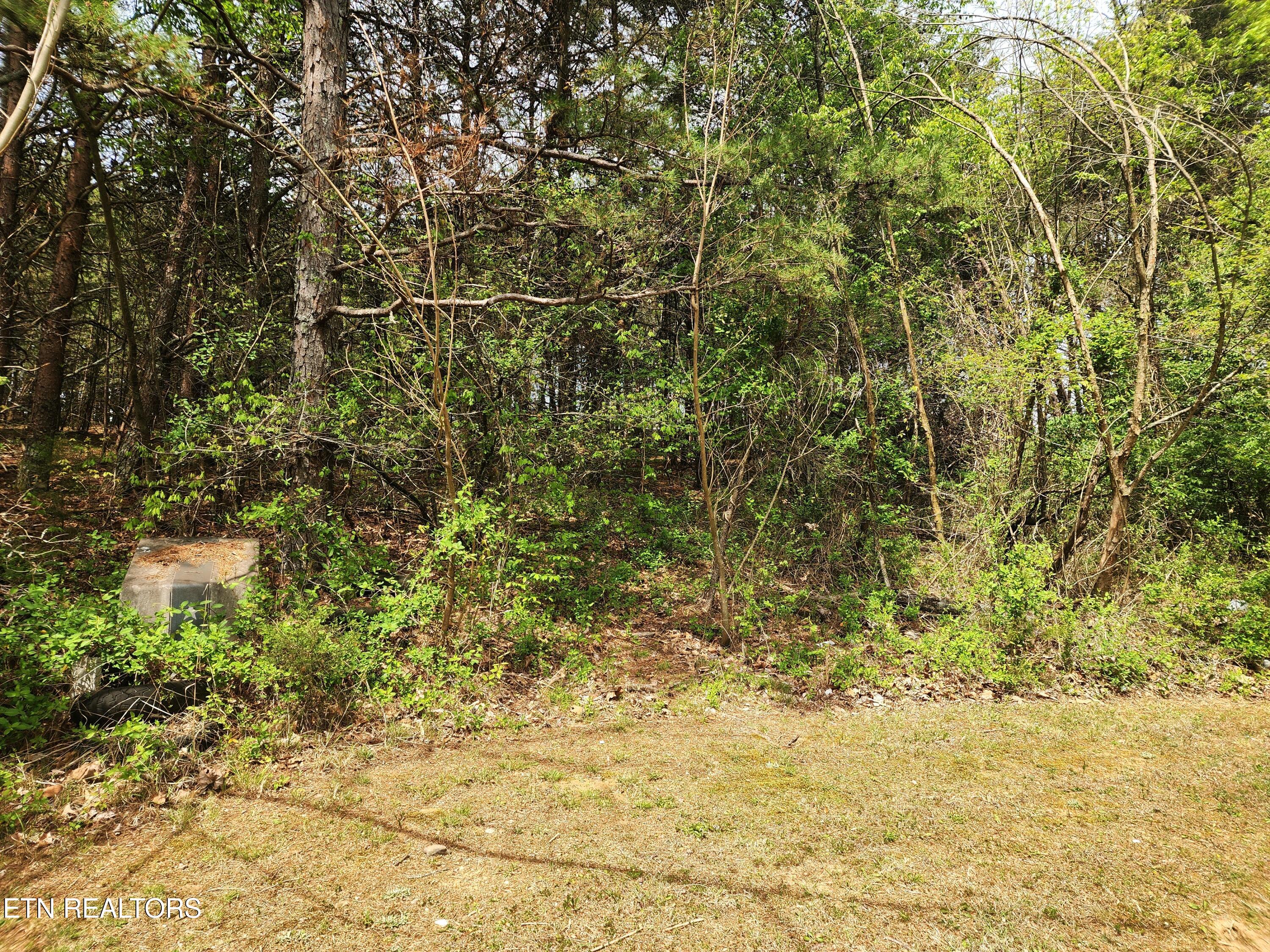 Maryville TN 37801