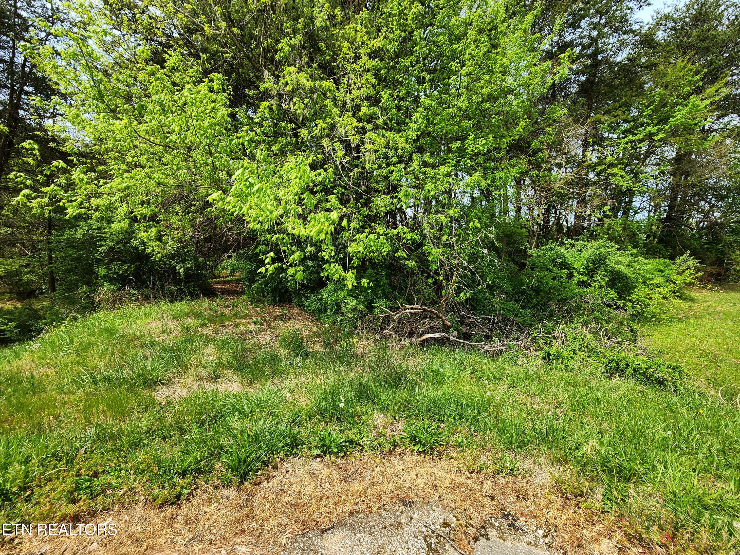 Maryville TN 37801