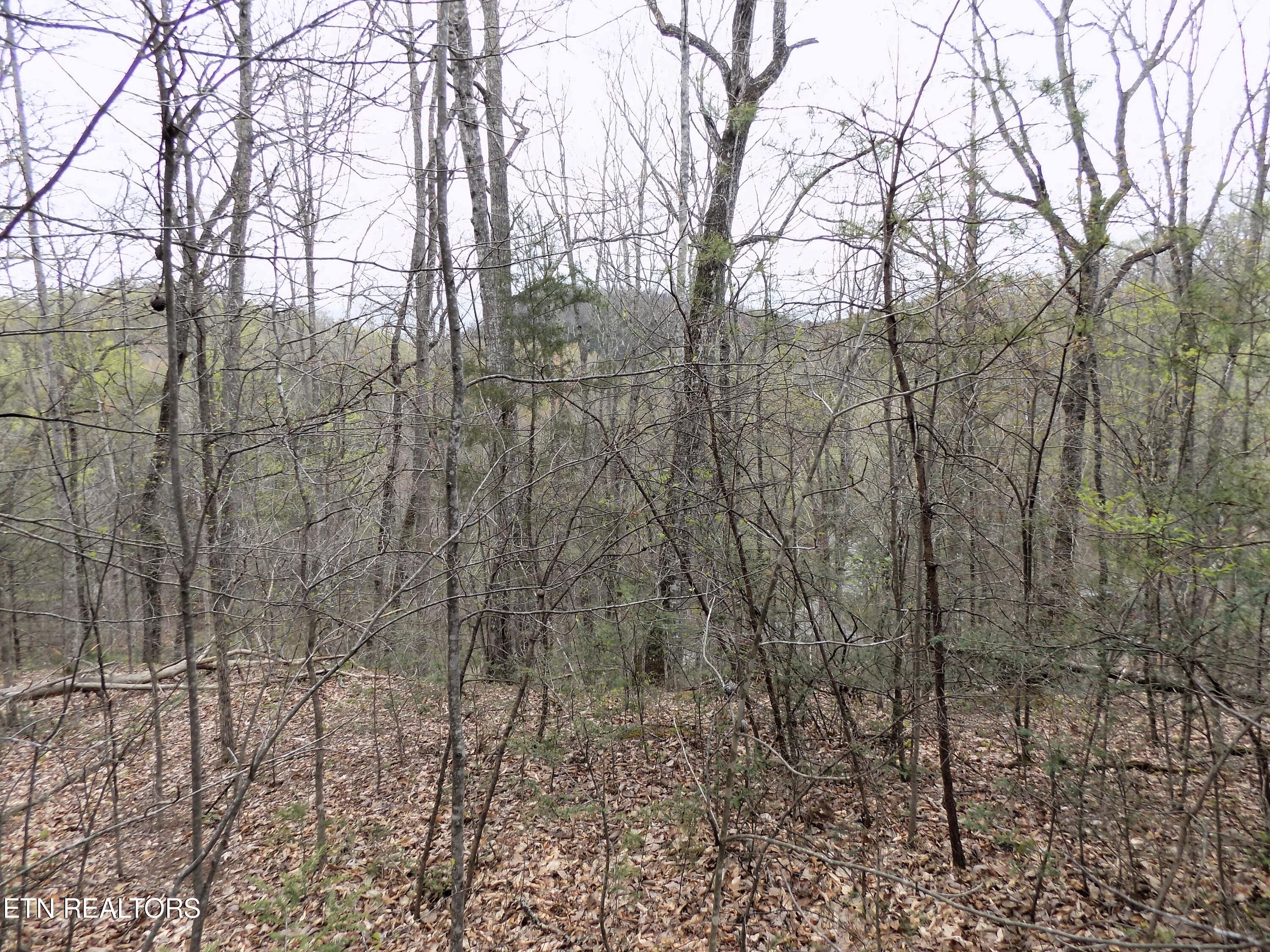 Par 001.08 Mountain Shadow Way Cosby TN 37722