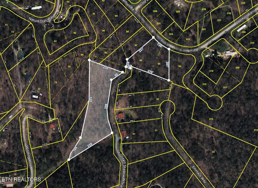 Par 001.08 Mountain Shadow Way Cosby TN 37722