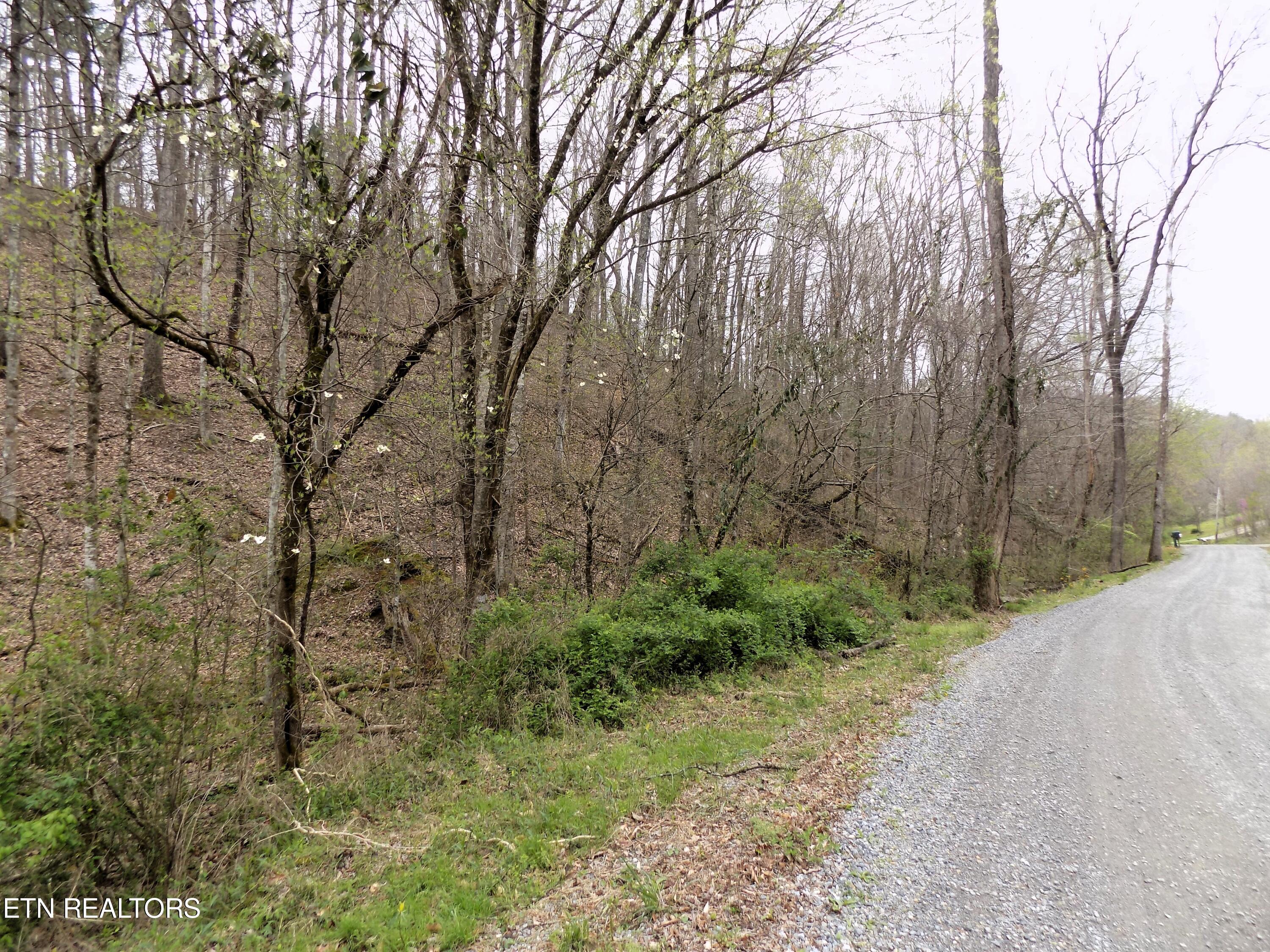 Par 001.08 Mountain Shadow Way Cosby TN 37722