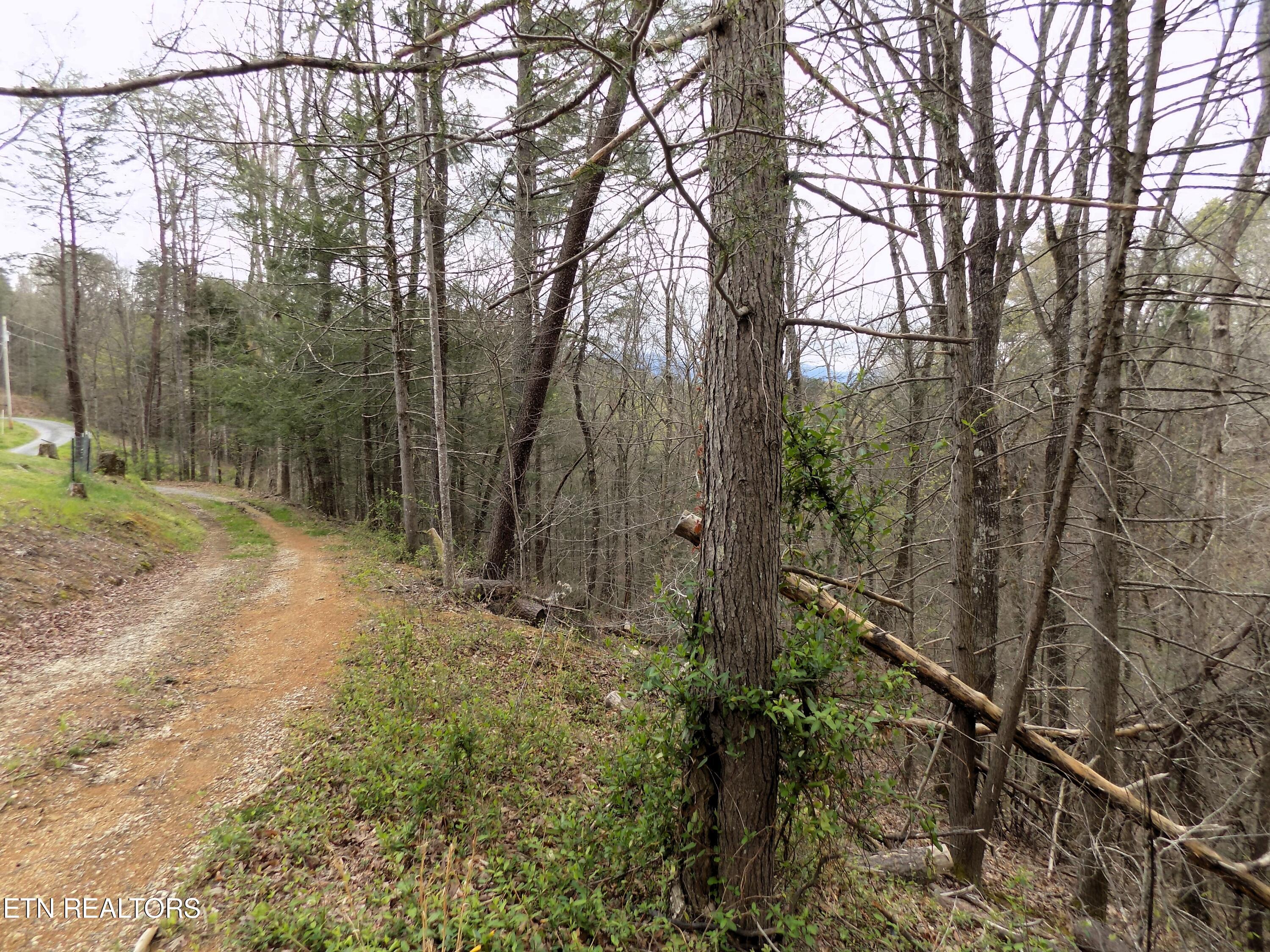 Par 001.08 Mountain Shadow Way Cosby TN 37722