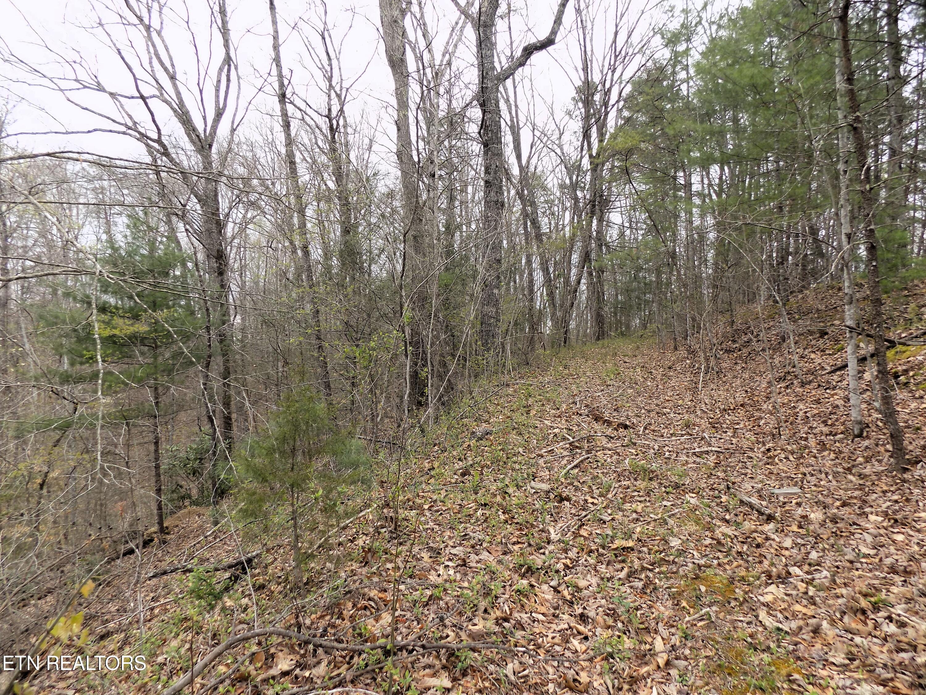 Par 001.08 Mountain Shadow Way Cosby TN 37722