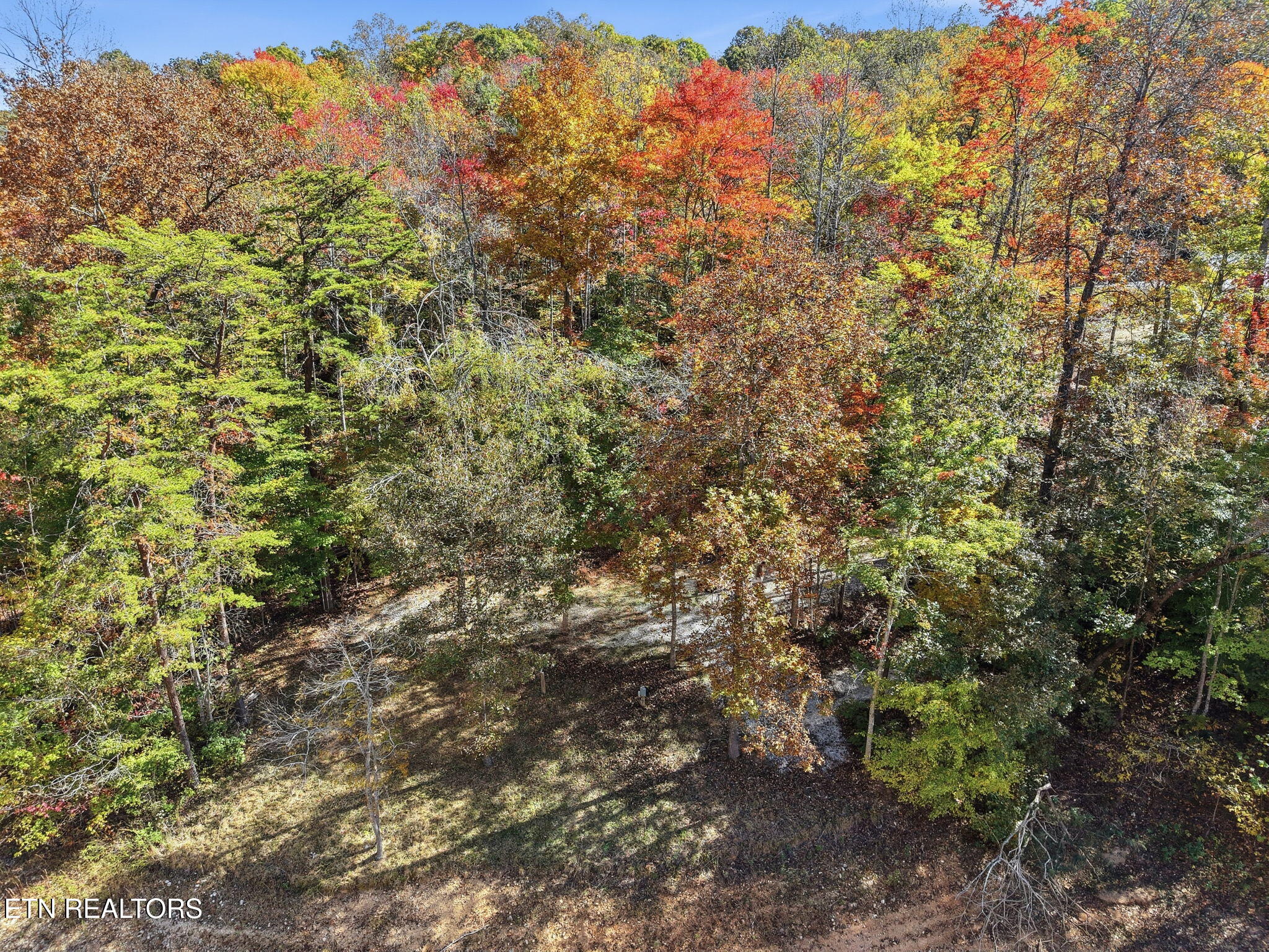 811 Big Creek Road Lafollette TN 37766