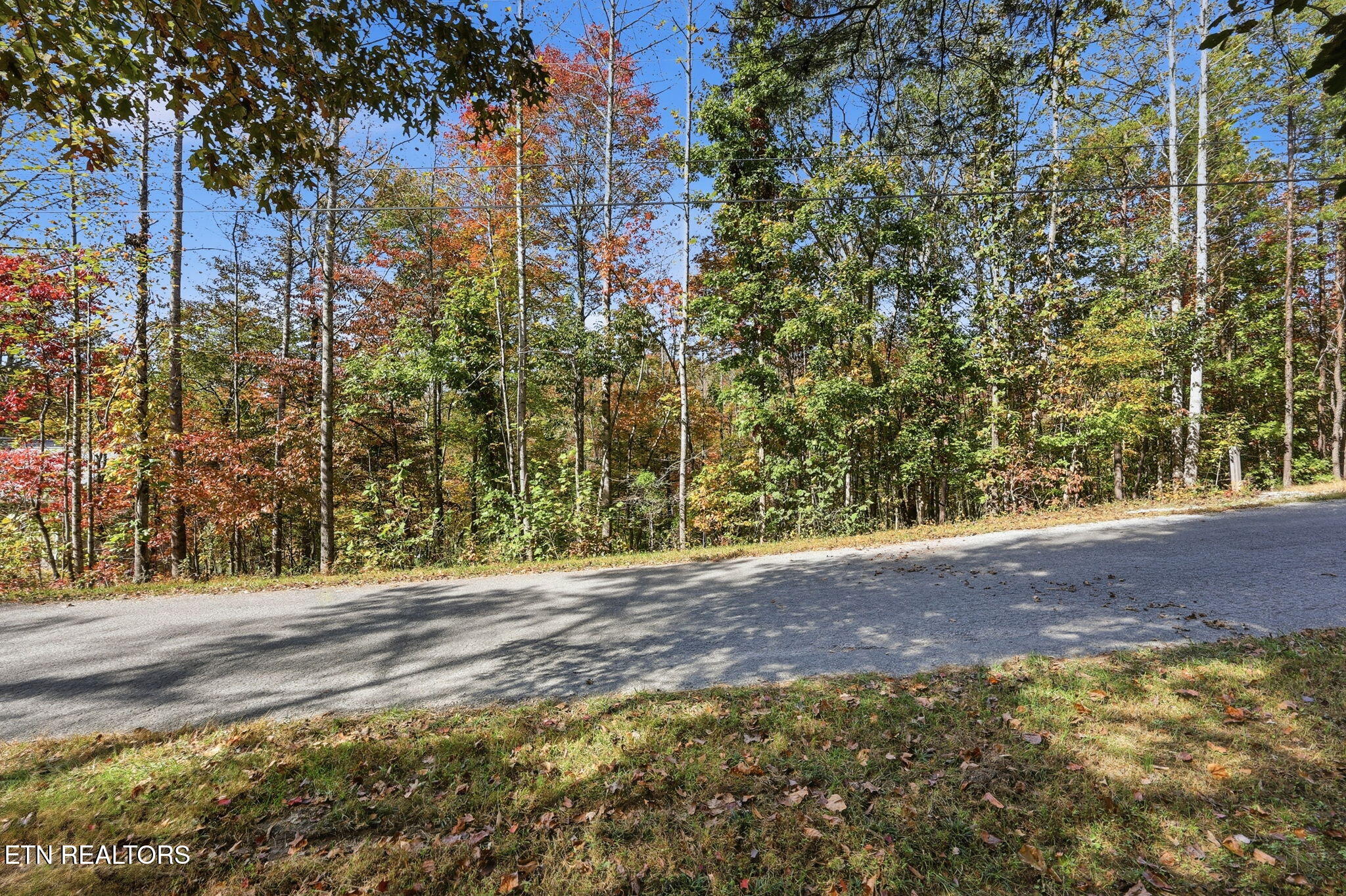 811 Big Creek Road Lafollette TN 37766