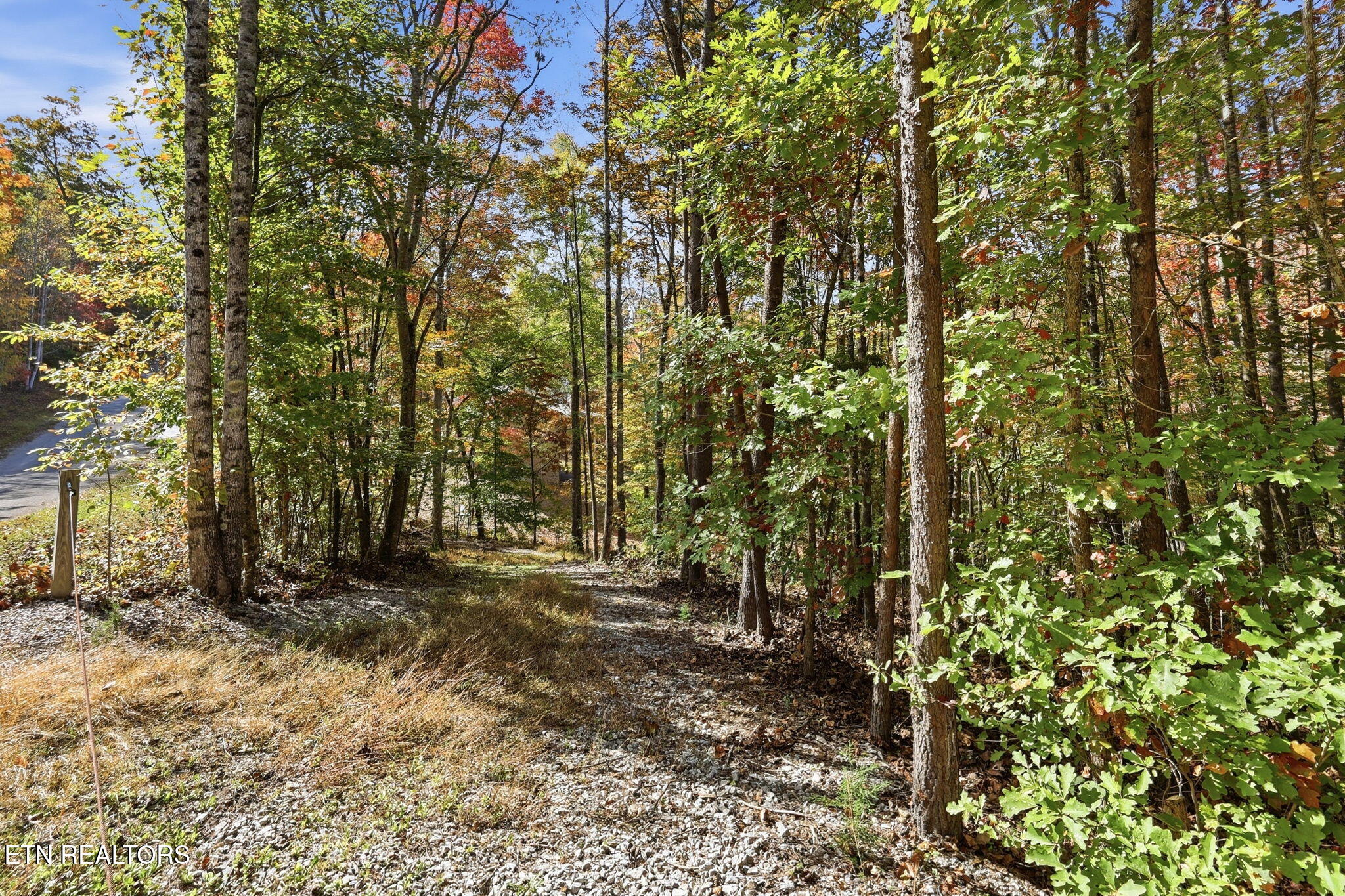 811 Big Creek Road Lafollette TN 37766