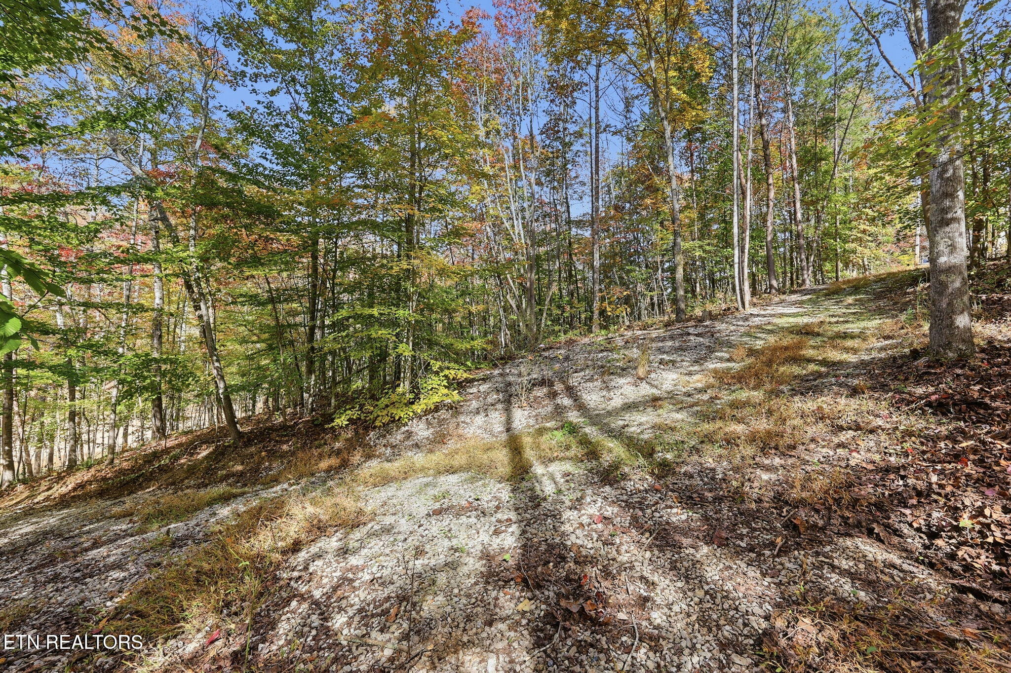 811 Big Creek Road Lafollette TN 37766