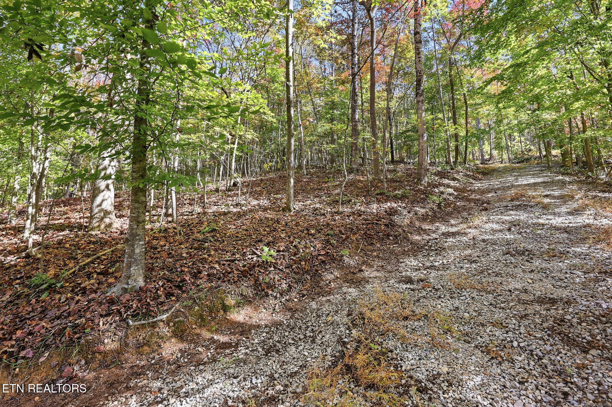811 Big Creek Road Lafollette TN 37766
