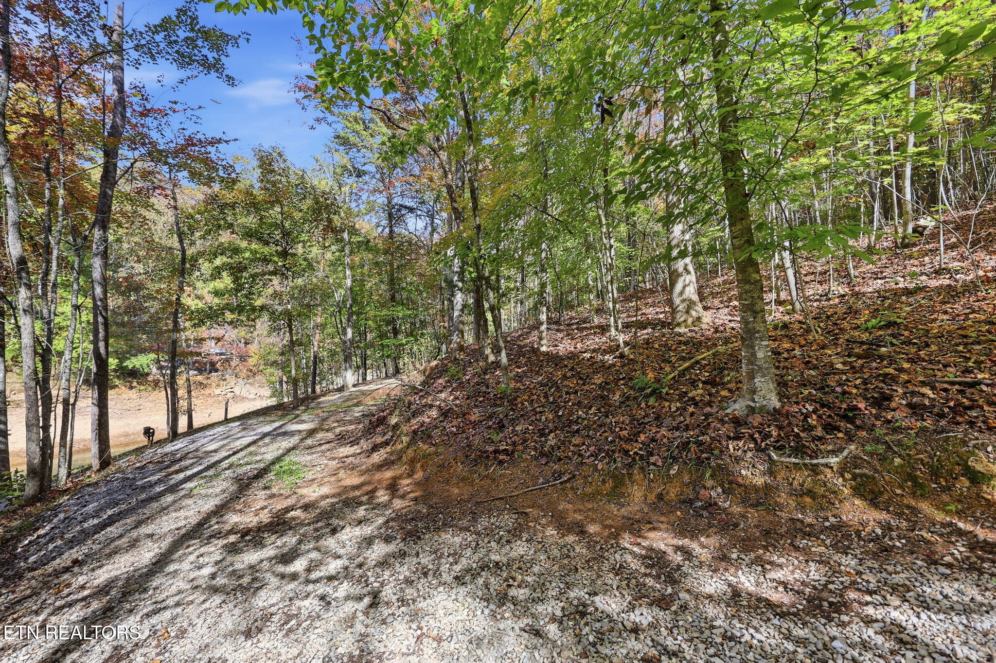 811 Big Creek Road Lafollette TN 37766