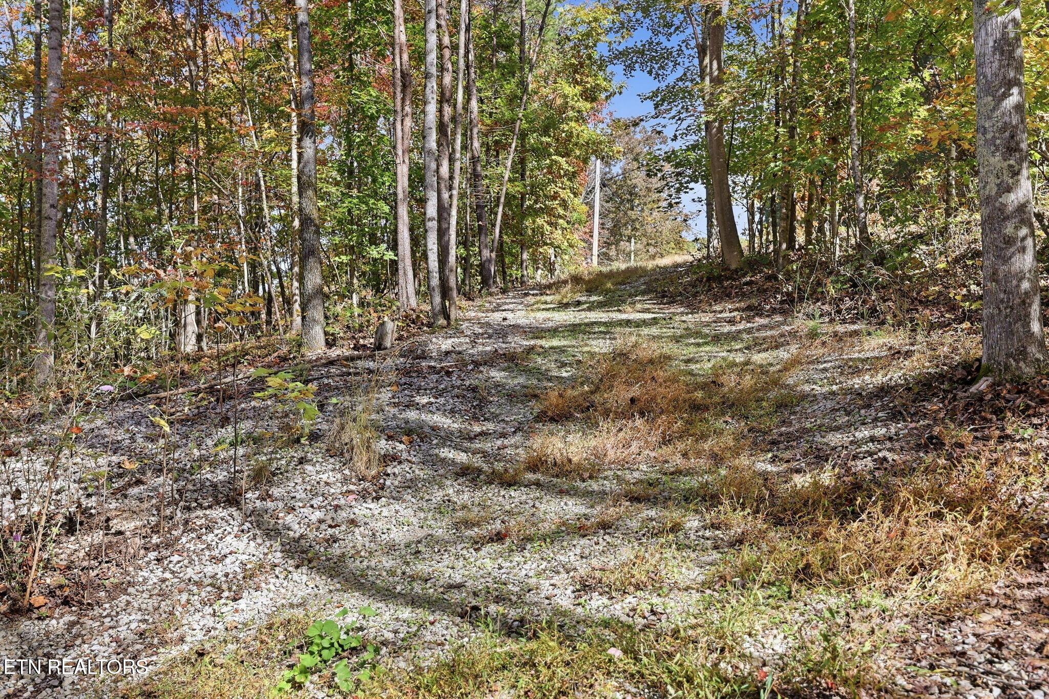 811 Big Creek Road Lafollette TN 37766
